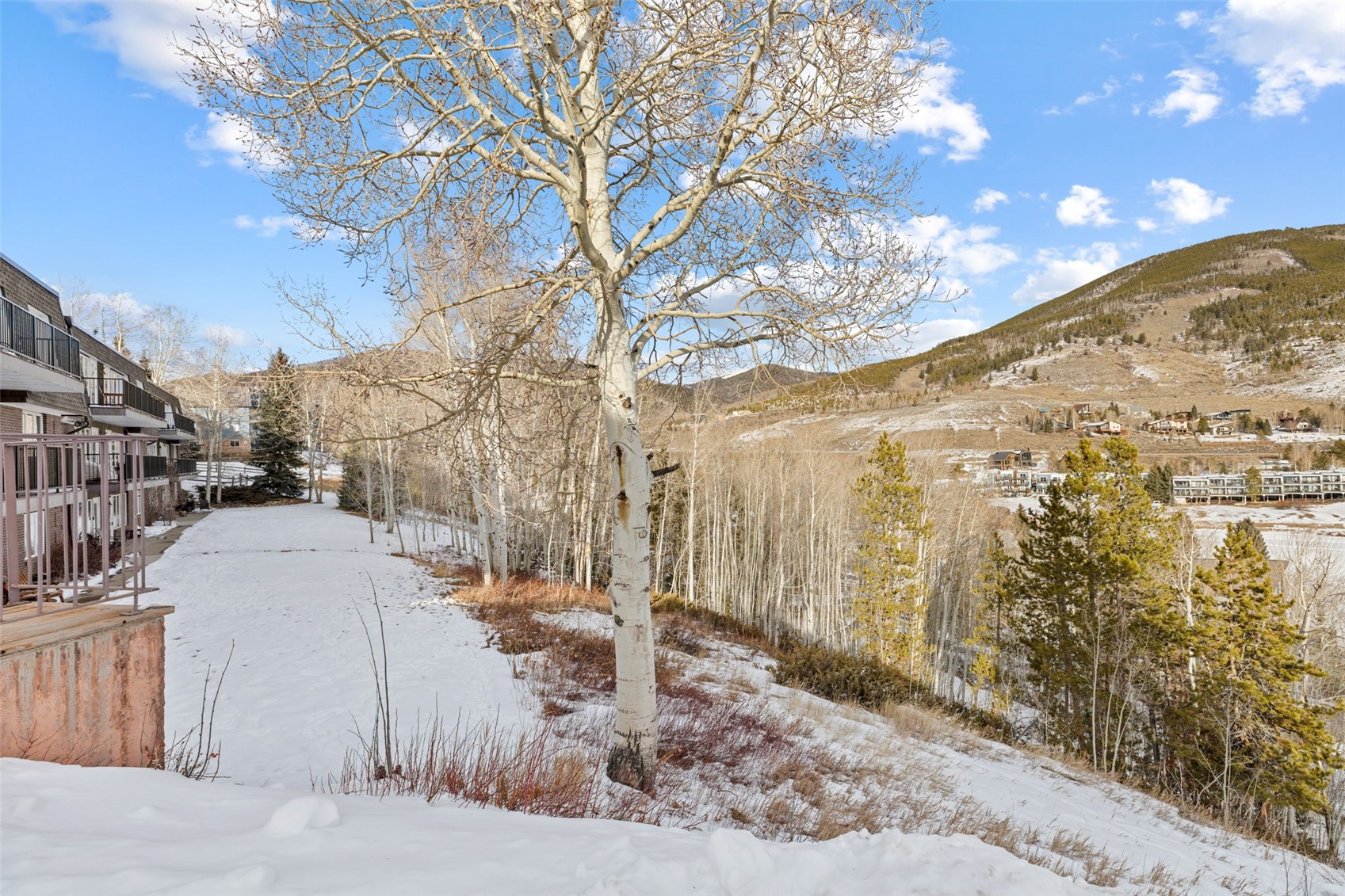 240 E La Bonte Street Dillon CO 80435