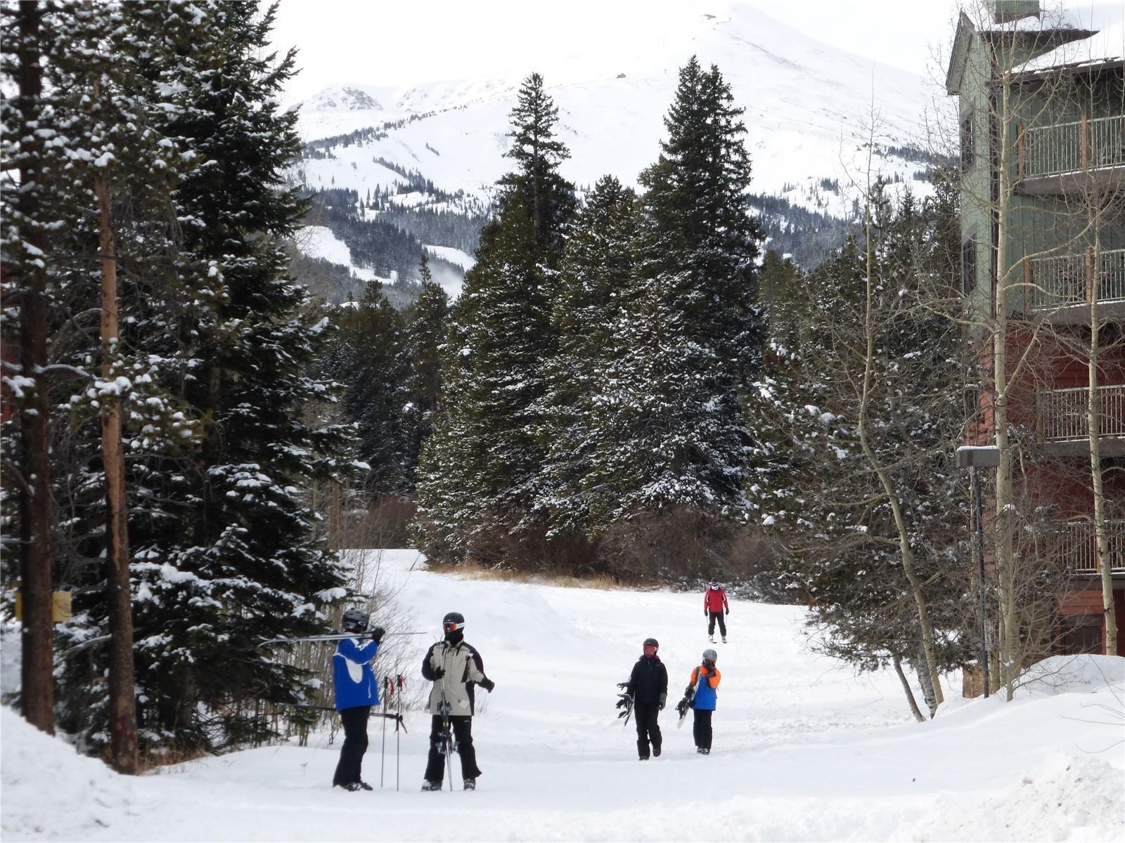100 S Park Avenue Breckenridge CO 80424