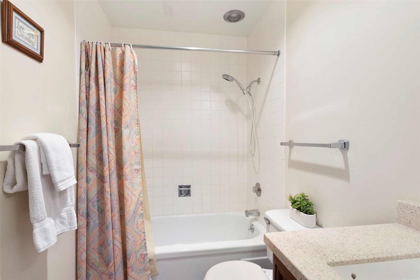 21 Buffalo Drive Silverthorne CO 80498