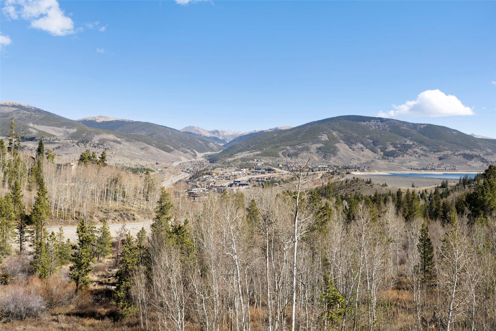21 Buffalo Drive Silverthorne CO 80498