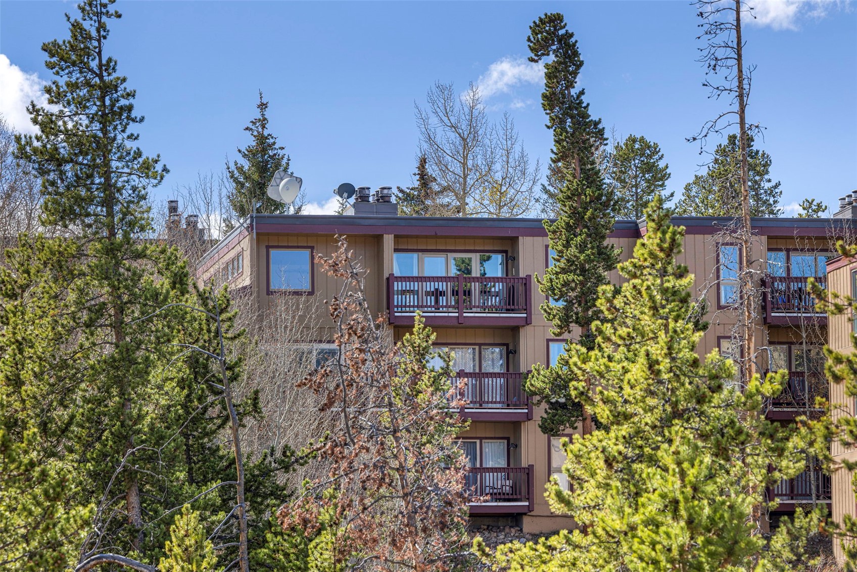 21 Buffalo Drive Silverthorne CO 80498