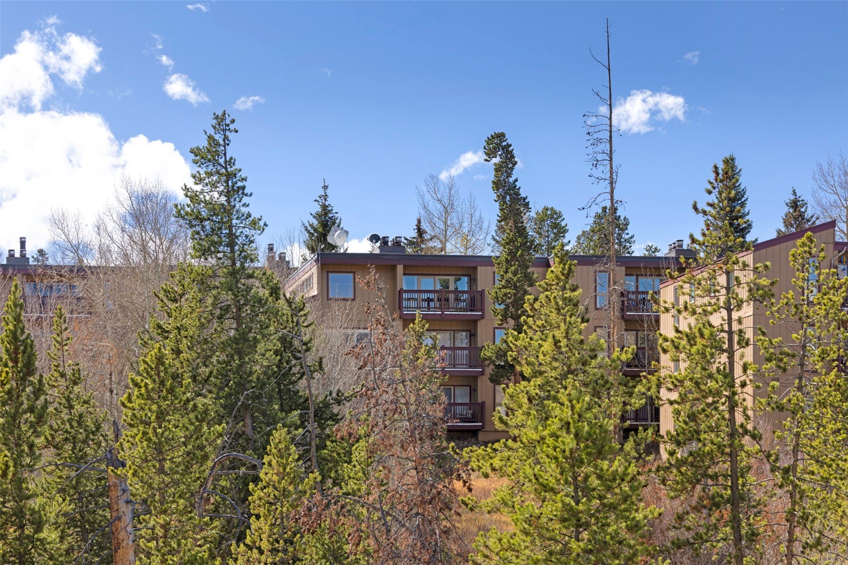 21 Buffalo Drive Silverthorne CO 80498