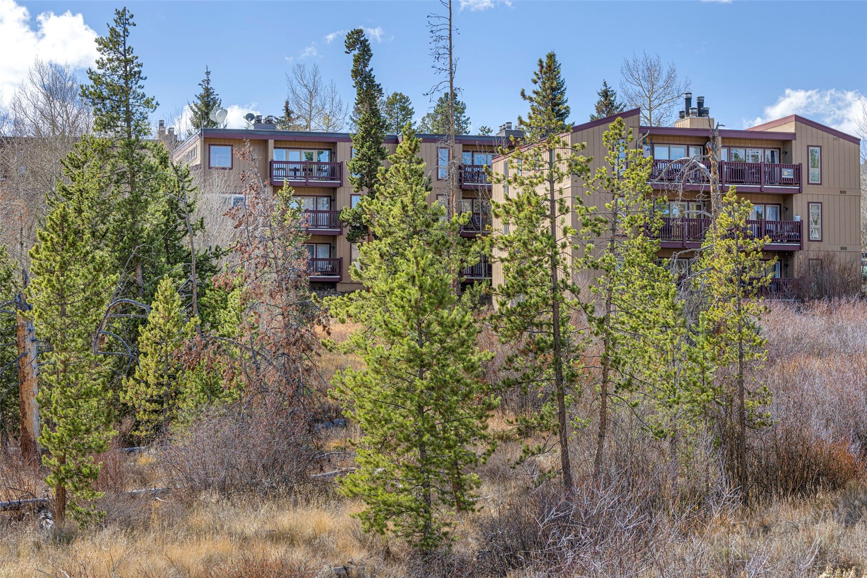 21 Buffalo Drive Silverthorne CO 80498