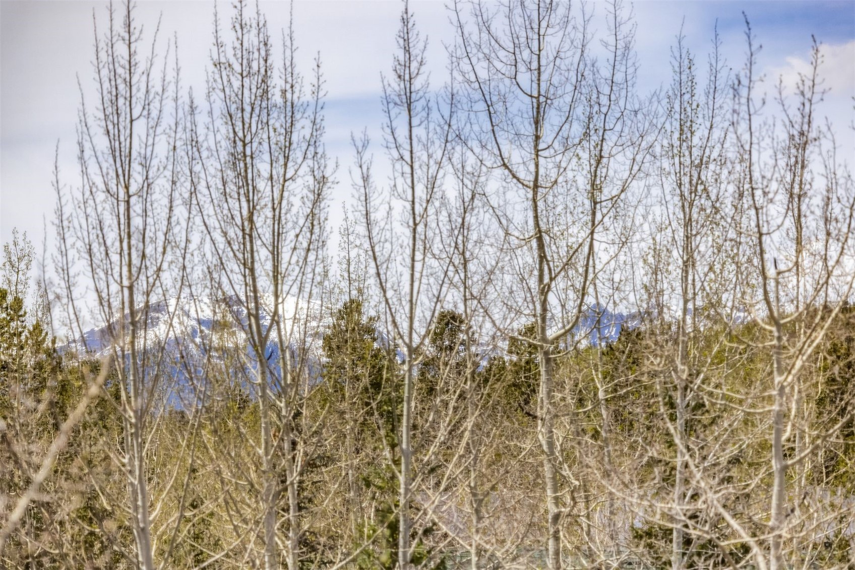 71 Starfire Lane Keystone CO 80435