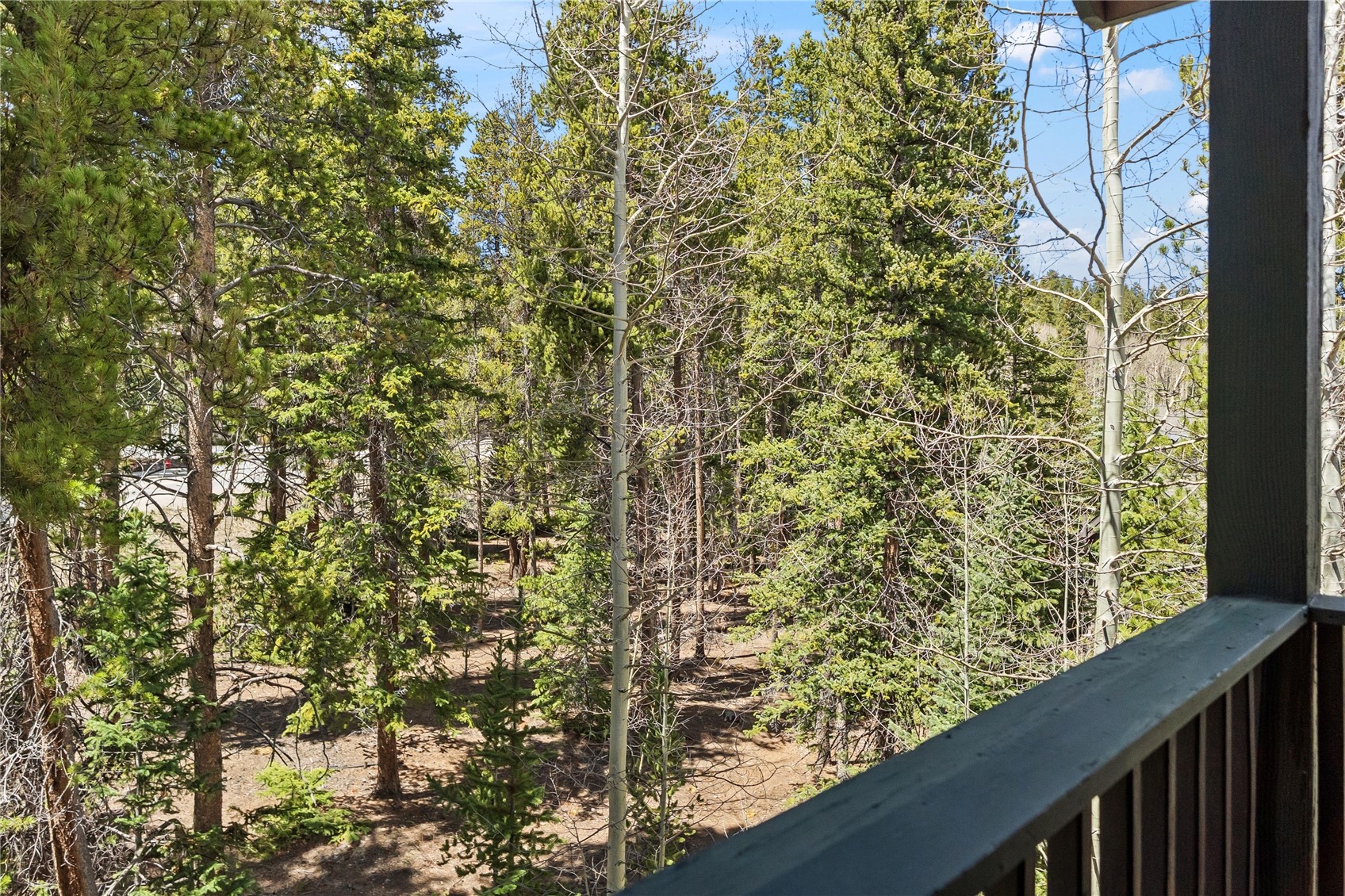 260 Ski Hill Road Breckenridge CO 80424