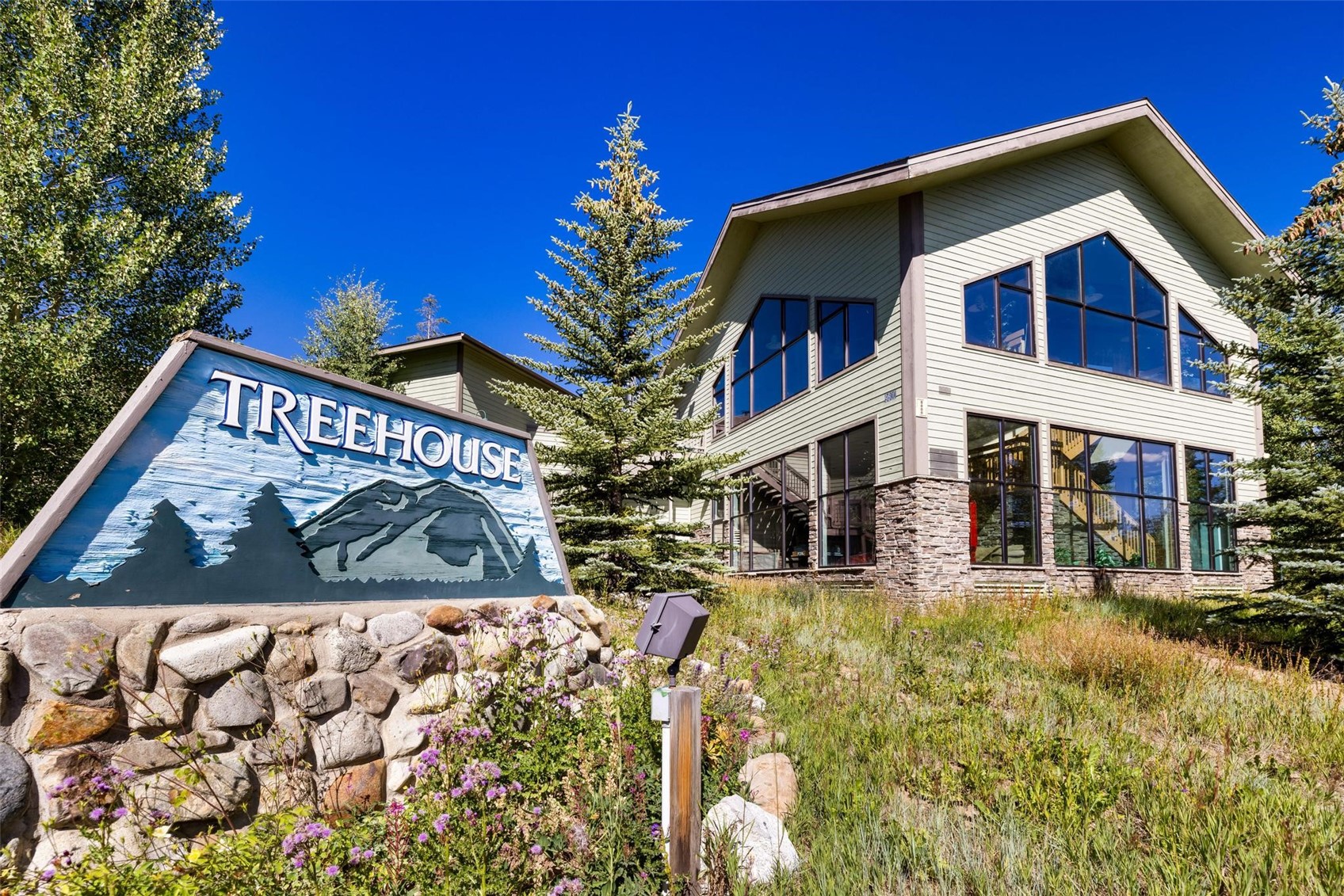 2200 Lodgepole Circle Silverthorne CO 80498