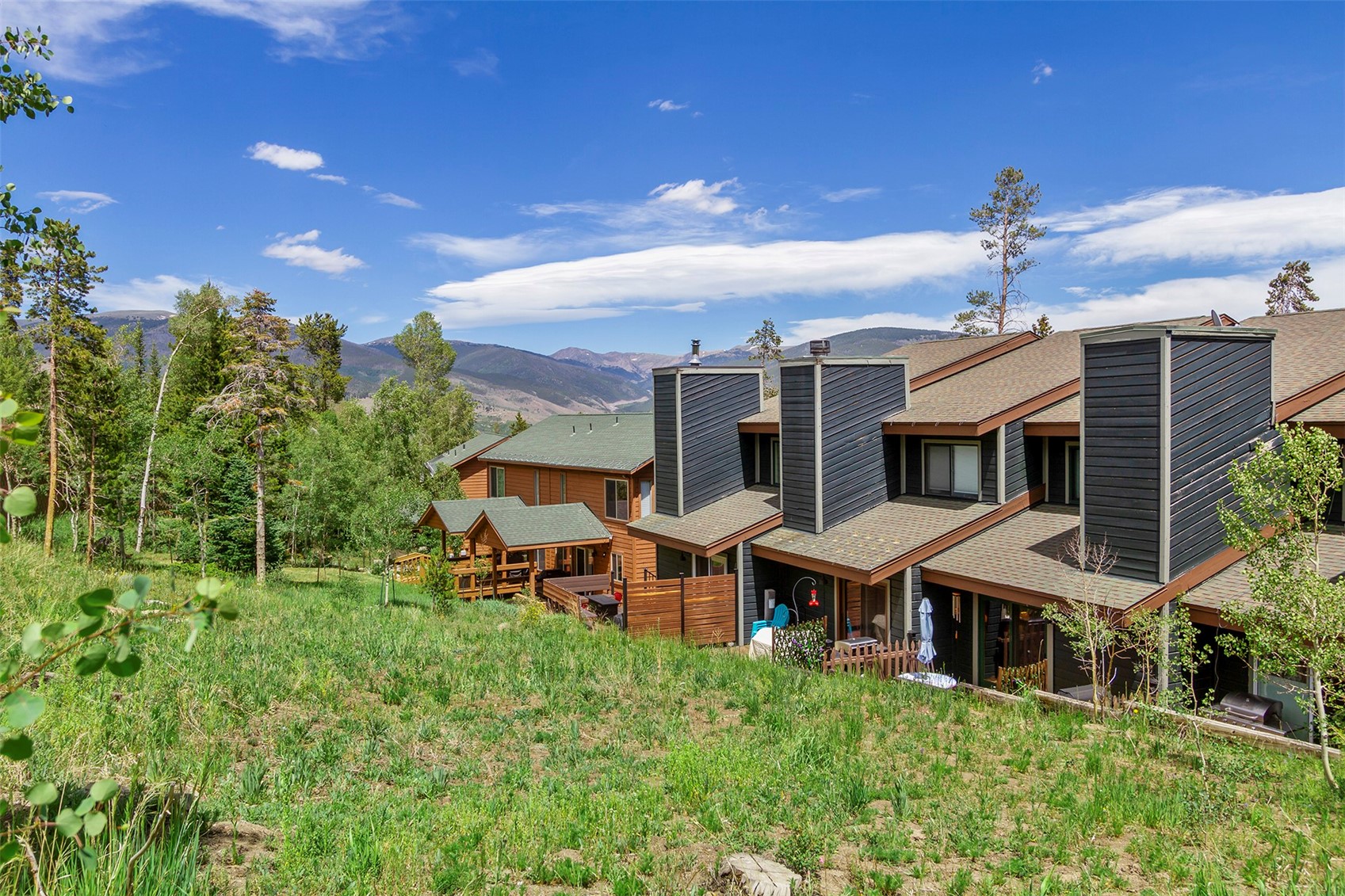 123 Burgundy Circle Silverthorne CO 80498