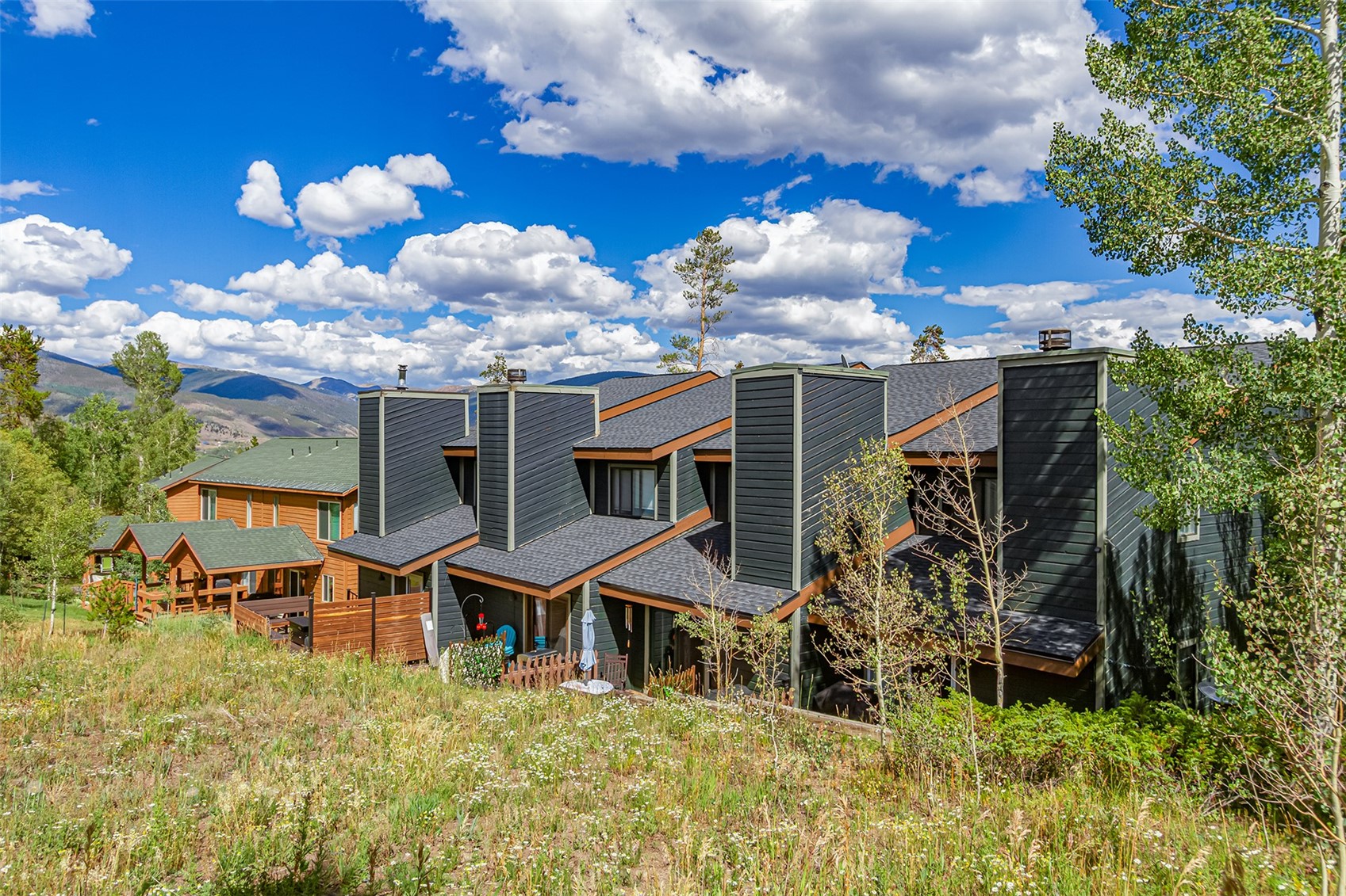 123 Burgundy Circle Silverthorne CO 80498