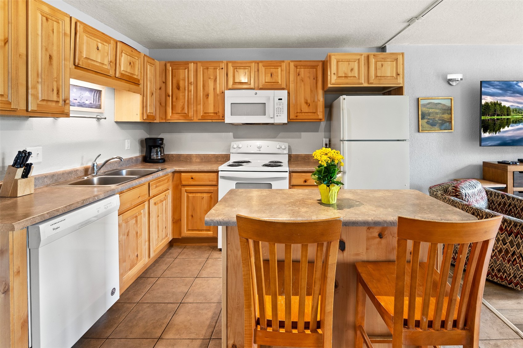 390 Straight Creek Drive Dillon CO 80435