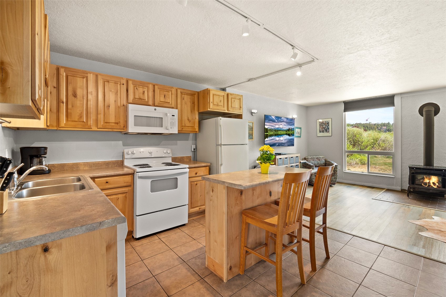 390 Straight Creek Drive Dillon CO 80435