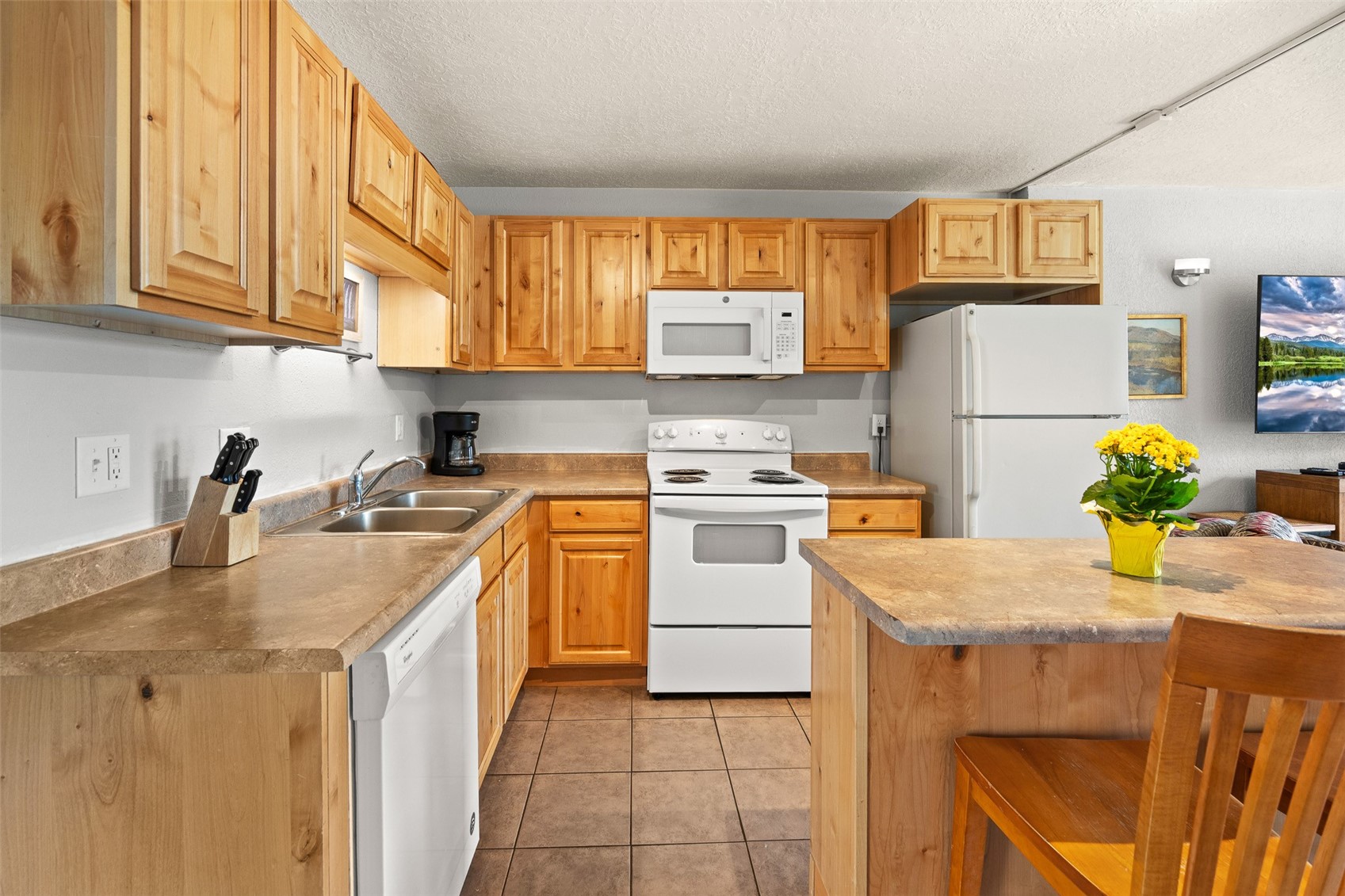 390 Straight Creek Drive Dillon CO 80435
