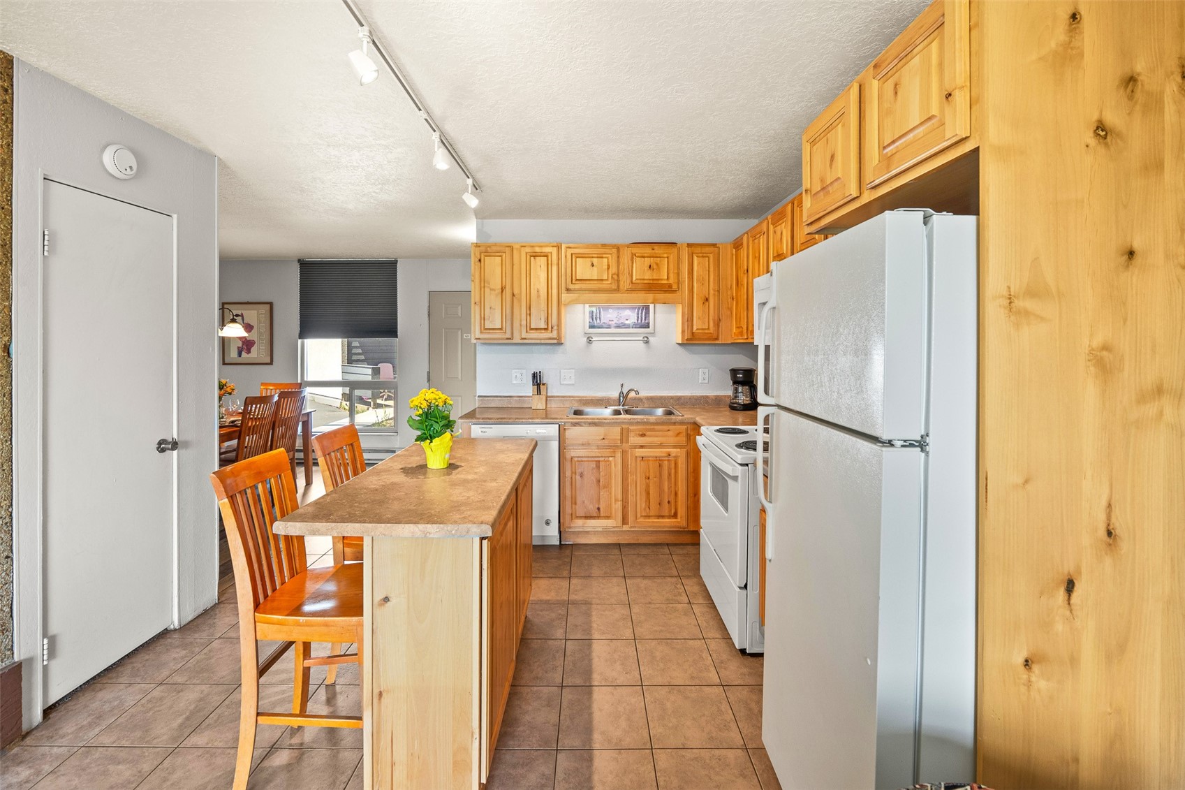 390 Straight Creek Drive Dillon CO 80435