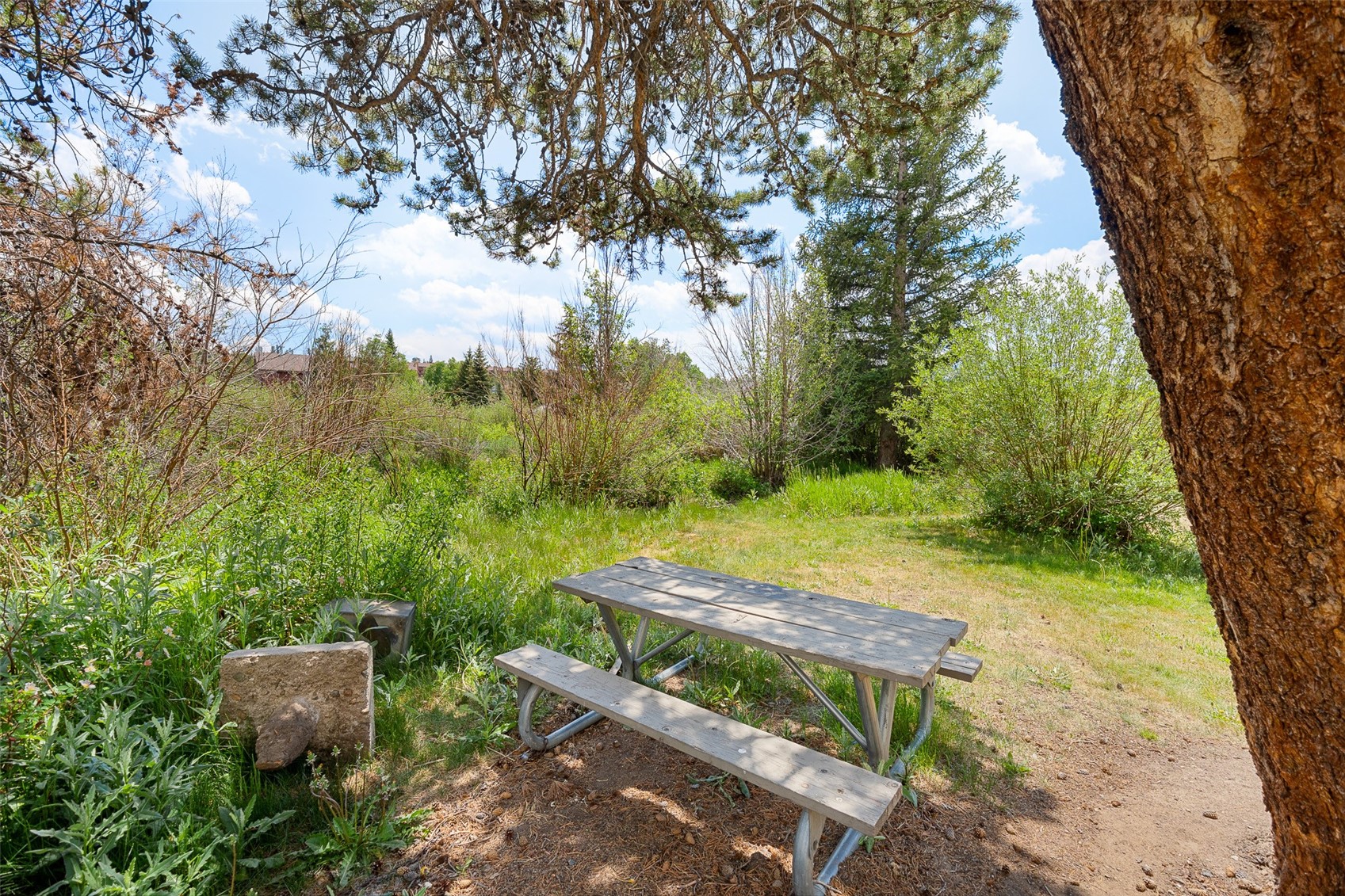 390 Straight Creek Drive Dillon CO 80435