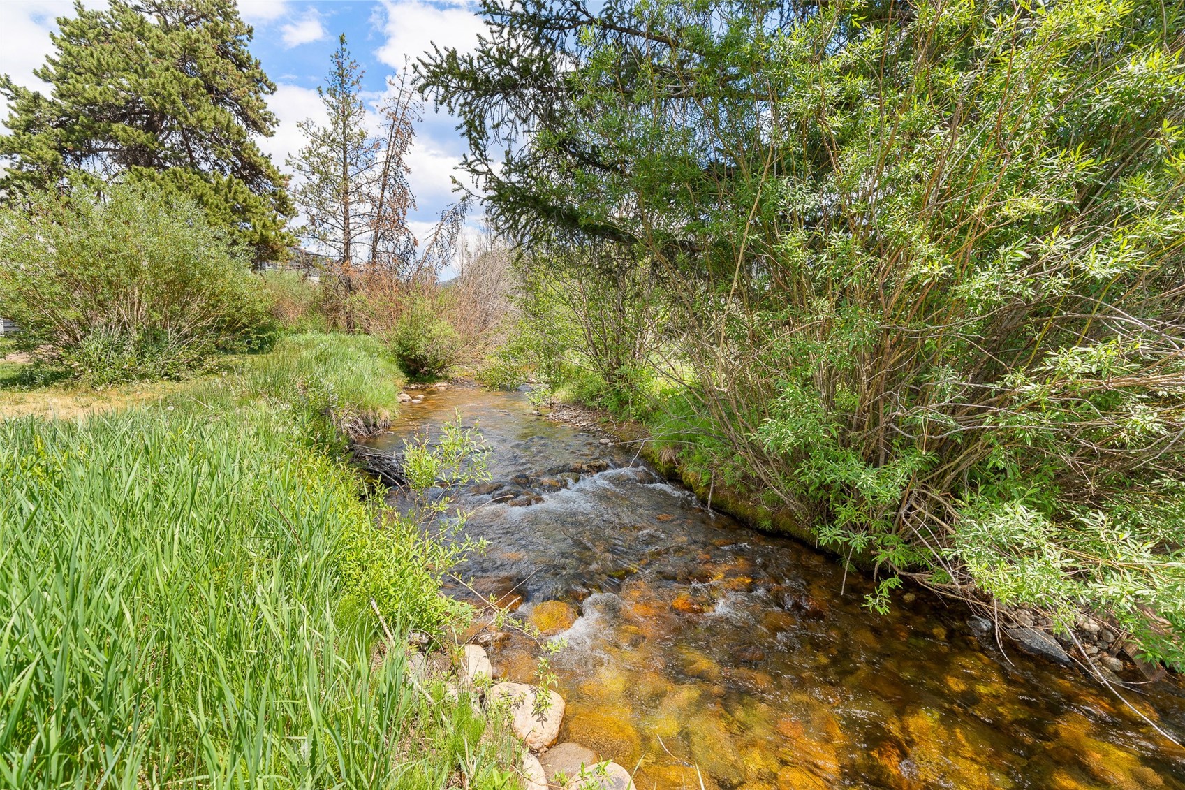 390 Straight Creek Drive Dillon CO 80435