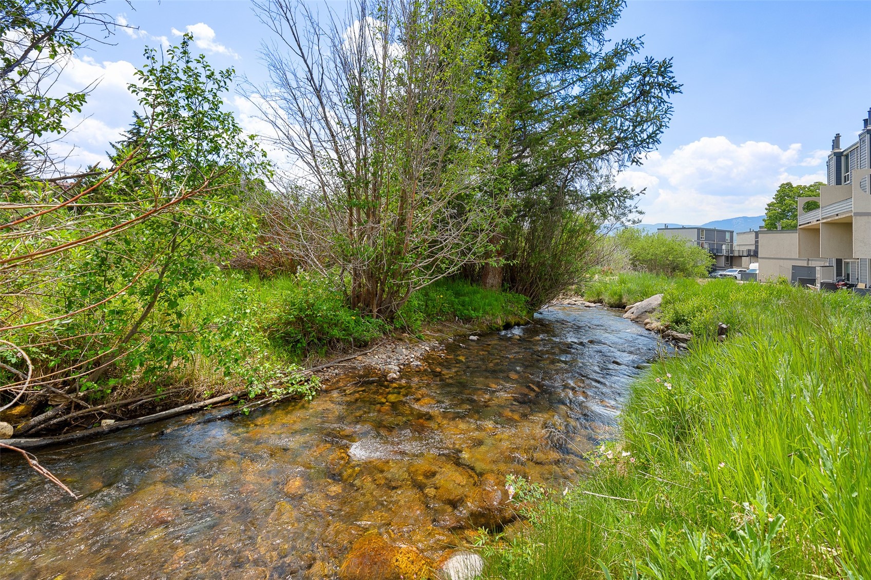 390 Straight Creek Drive Dillon CO 80435