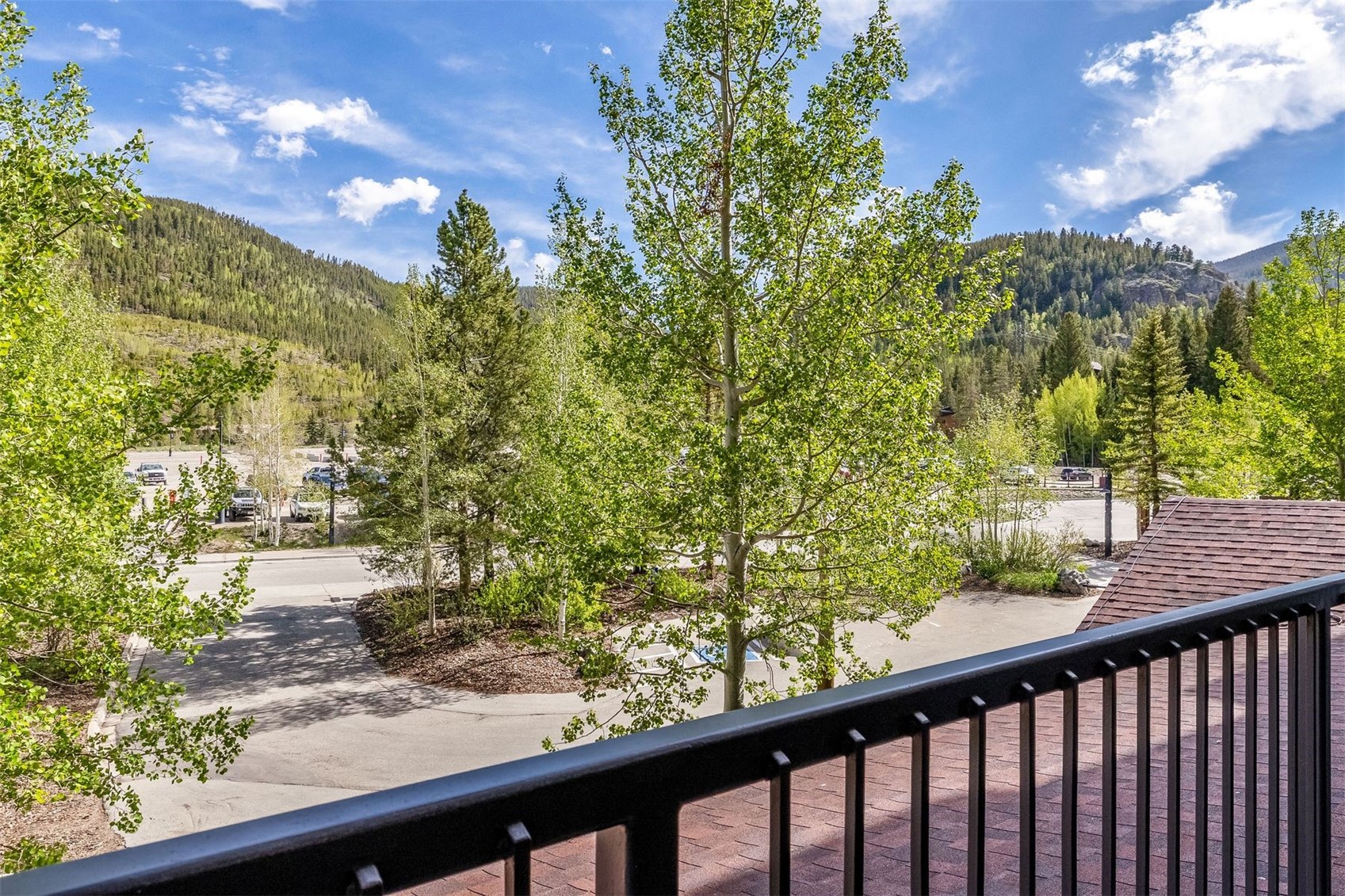 140 Ida Belle Drive Keystone CO 80435