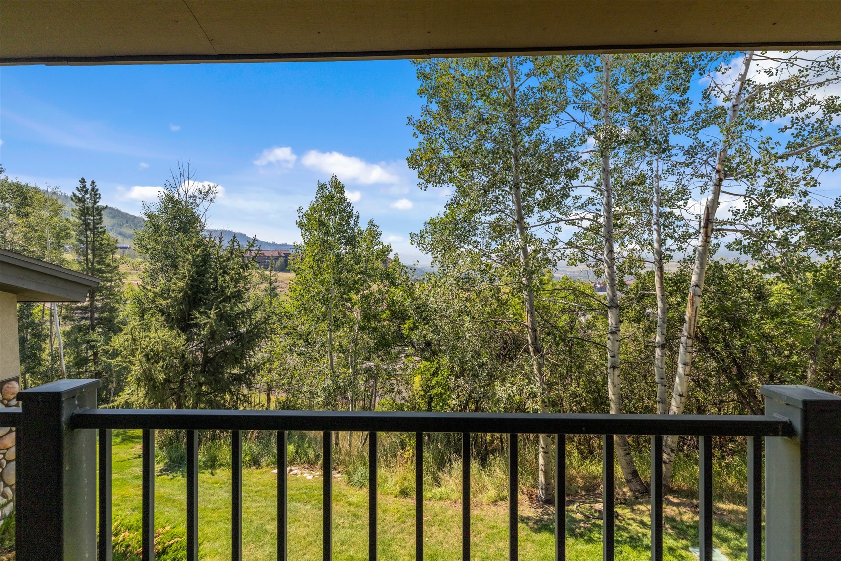 2290 Storm Meadows Drive Steamboat Springs CO 80487