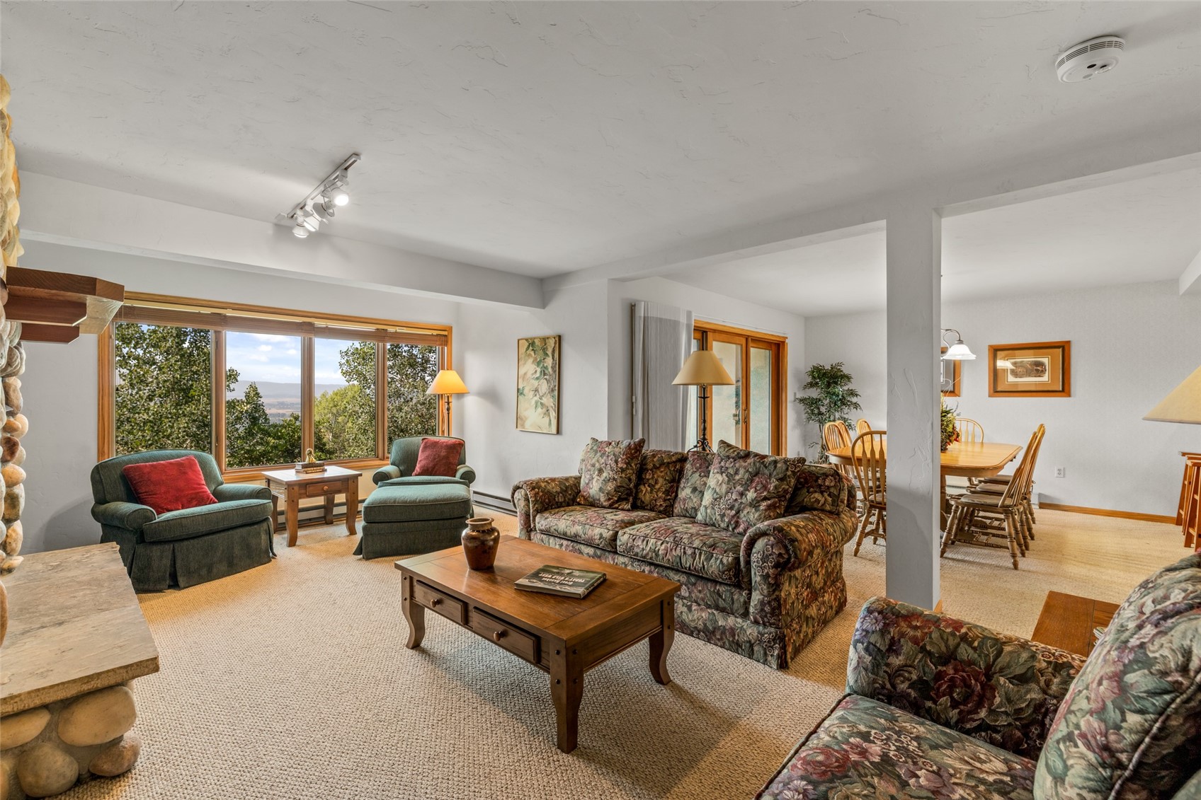 2290 Storm Meadows Drive Steamboat Springs CO 80487