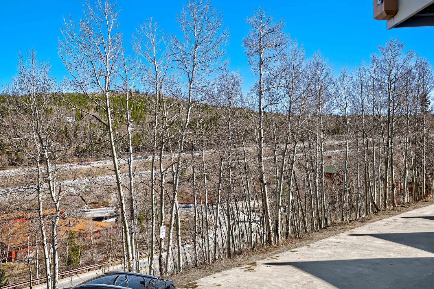 2401 Ryan Gulch Court Silverthorne CO 80498