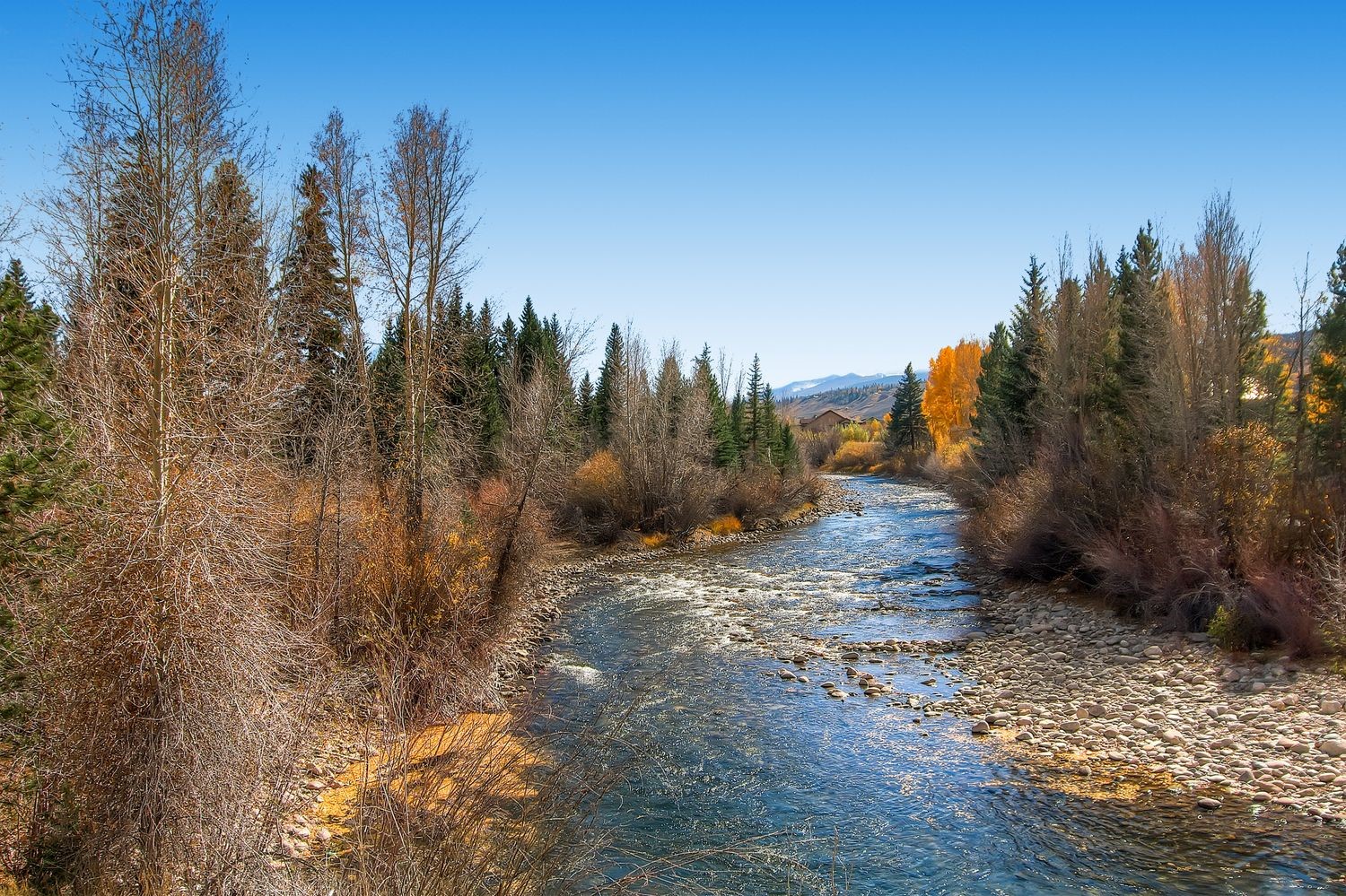 2401 Ryan Gulch Court Silverthorne CO 80498