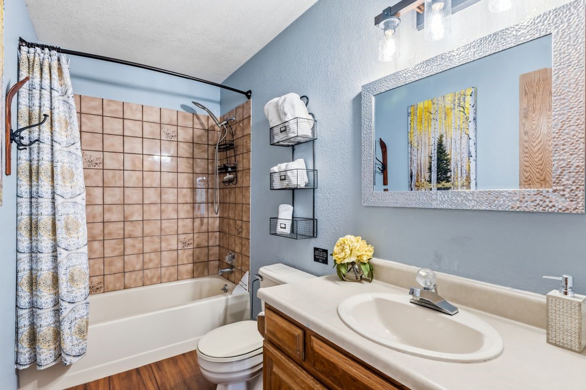 89410 Ryan Gulch Road Silverthorne CO 80498