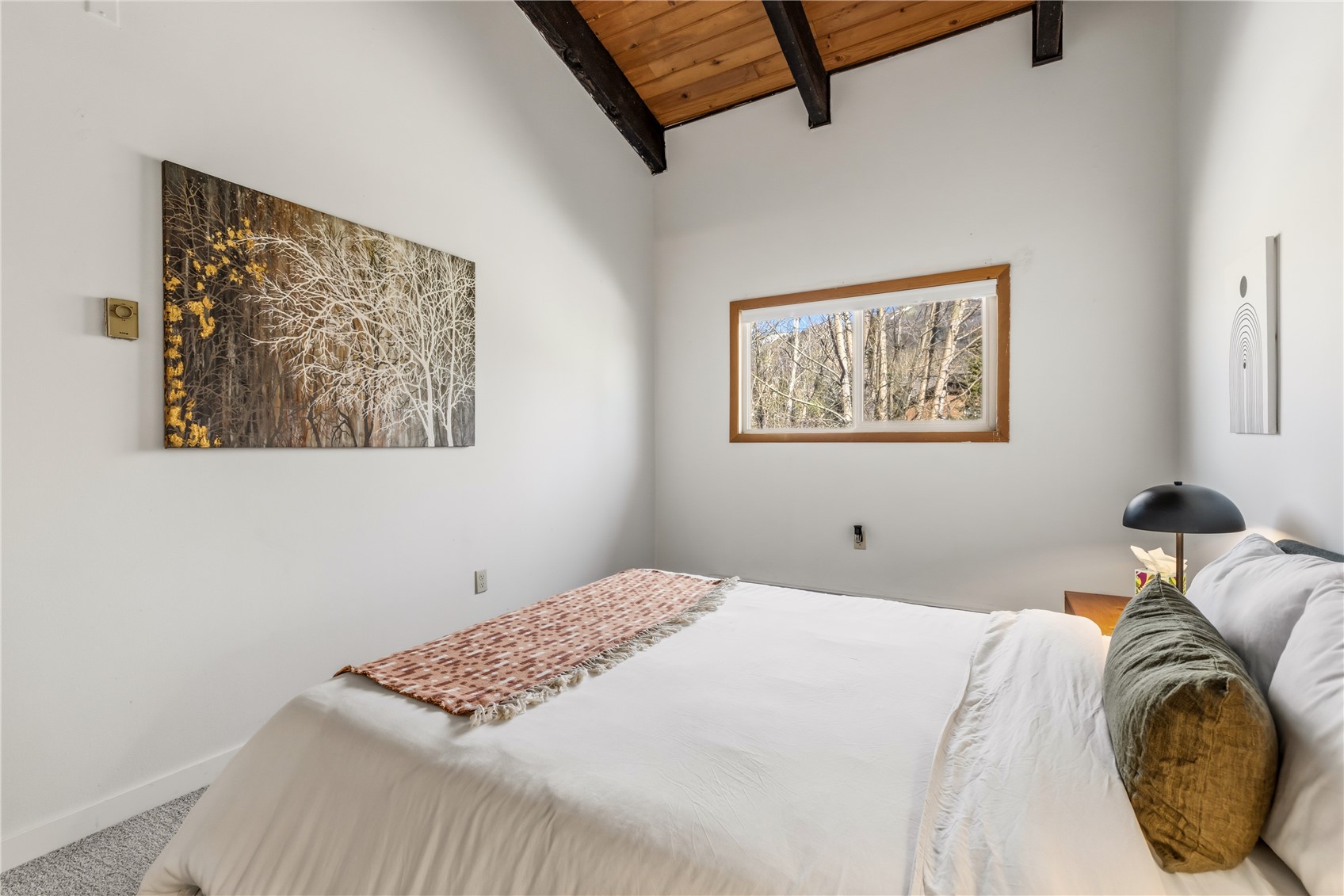 1375 Walton Creek Road Steamboat Springs CO 80487
