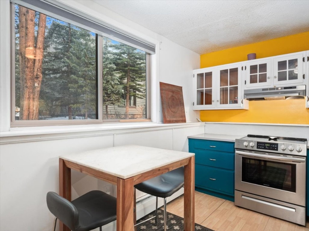 550 S French Street Breckenridge CO 80424