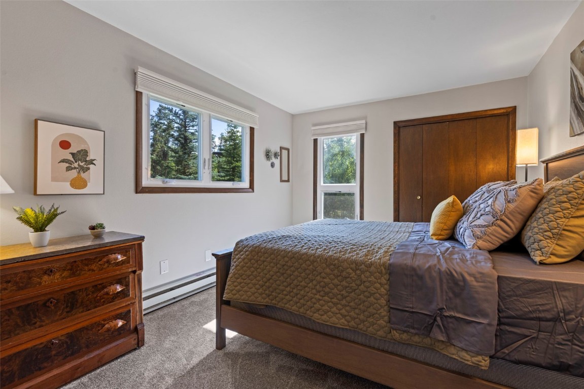 100 N Gold Flake Terrace Breckenridge CO 80424