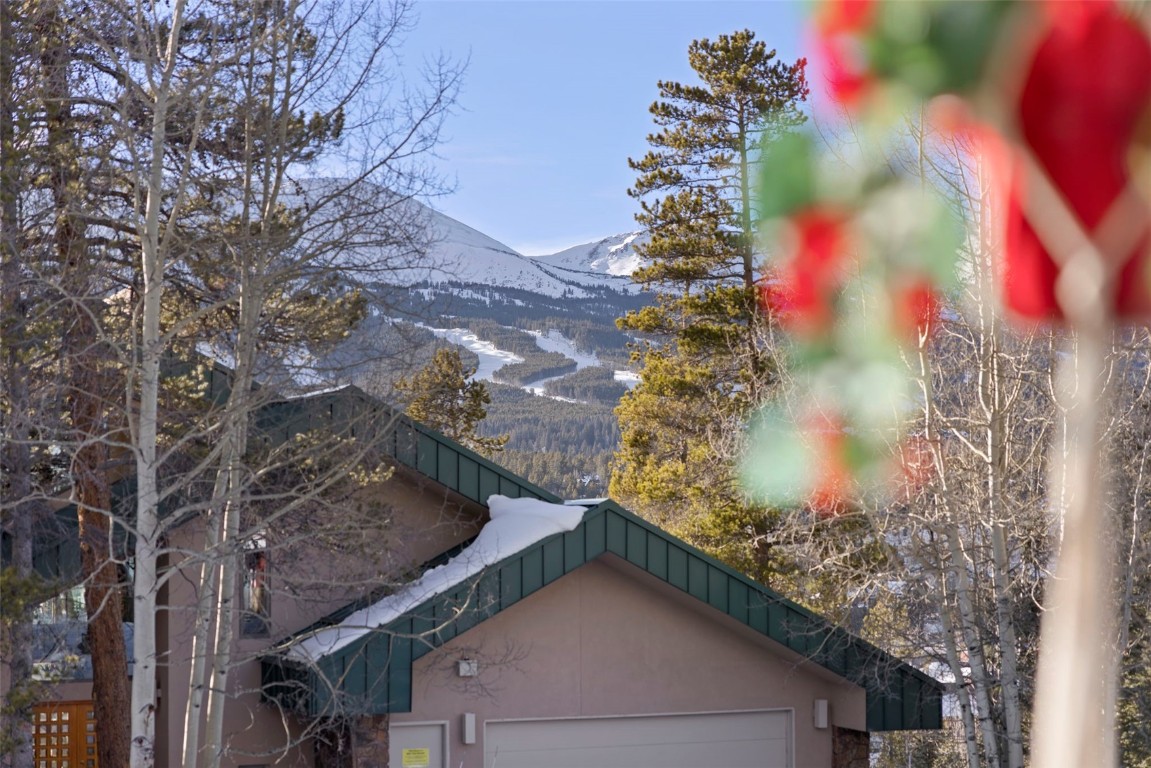 100 N Gold Flake Terrace Breckenridge CO 80424