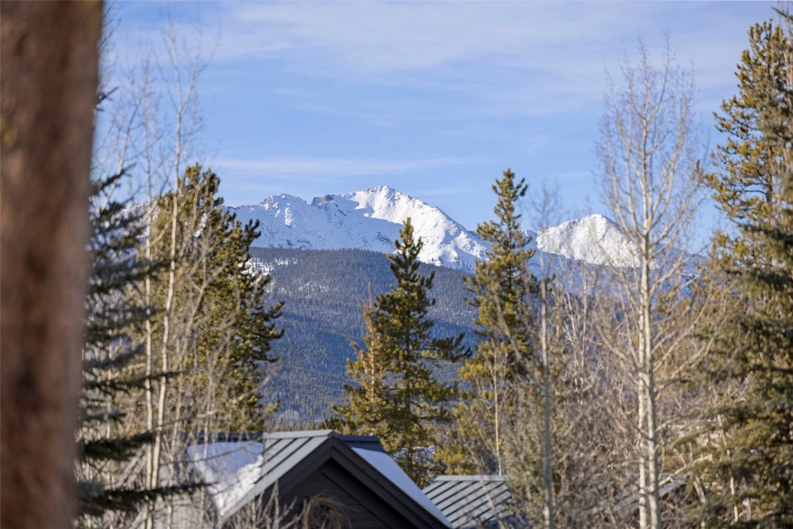 100 N Gold Flake Terrace Breckenridge CO 80424