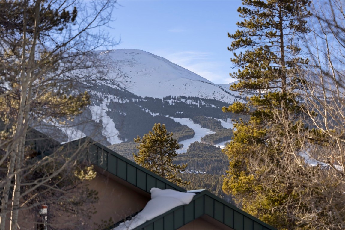 100 N Gold Flake Terrace Breckenridge CO 80424