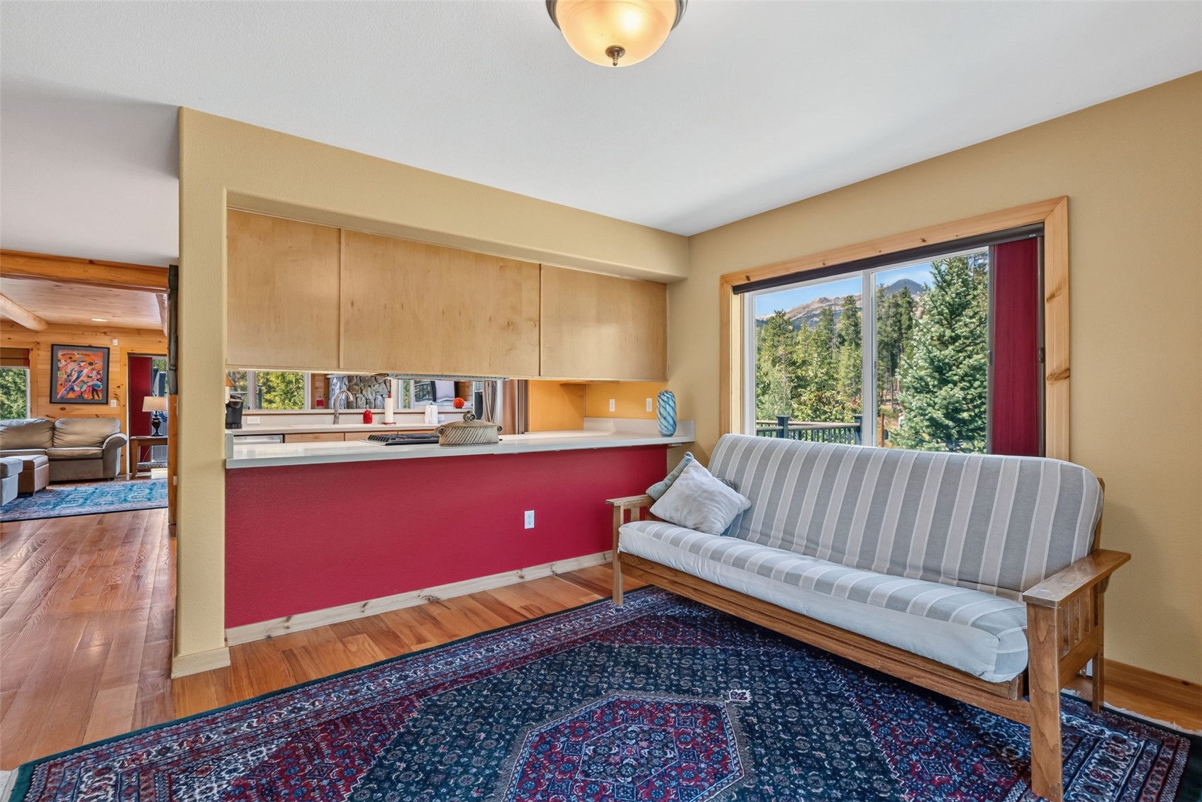 65 River Park Drive Breckenridge CO 80424