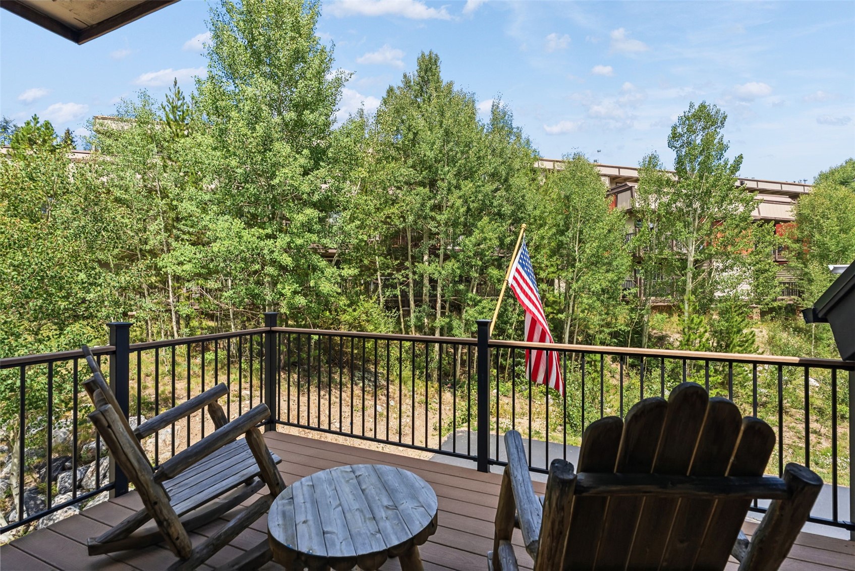 65 River Park Drive Breckenridge CO 80424