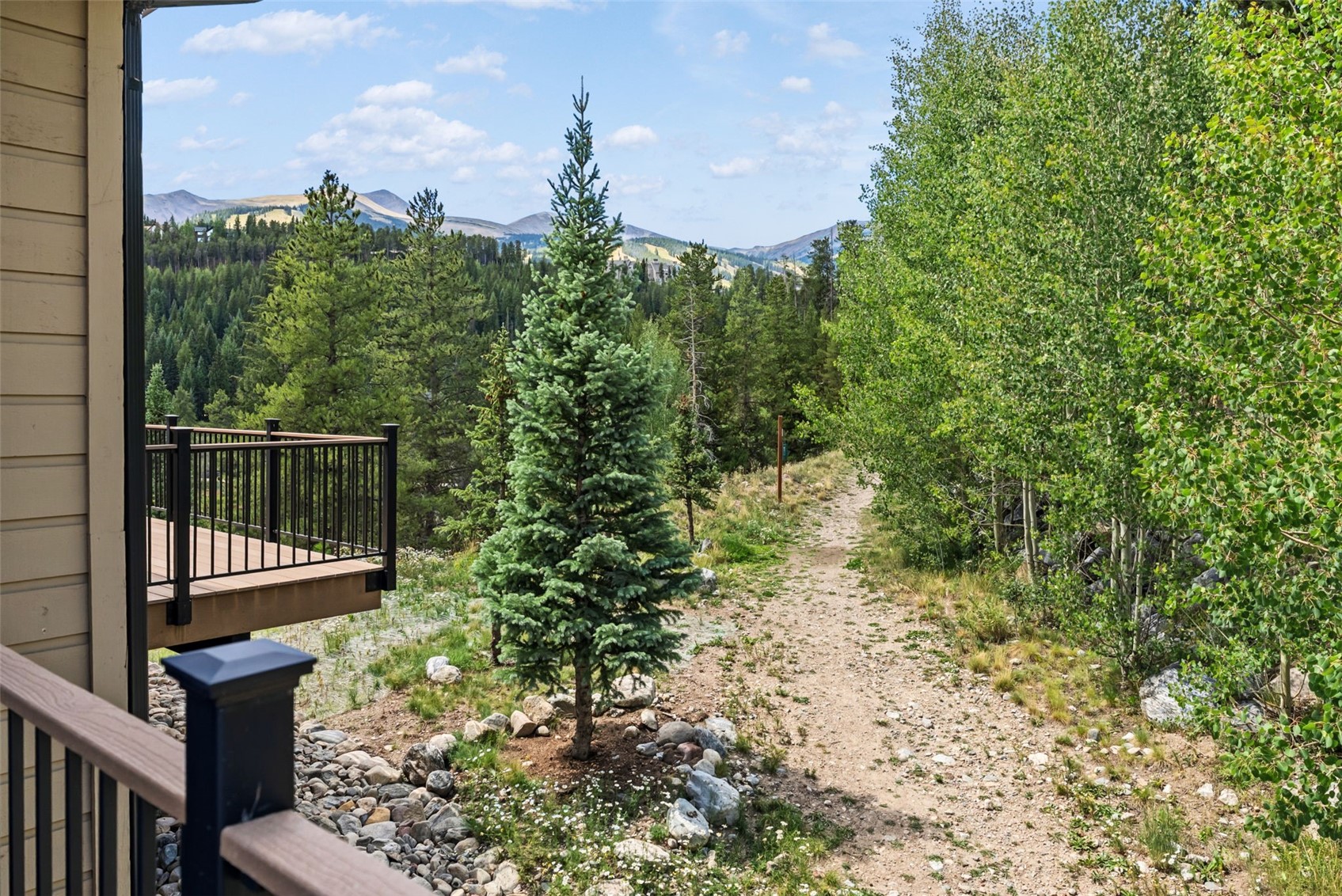65 River Park Drive Breckenridge CO 80424