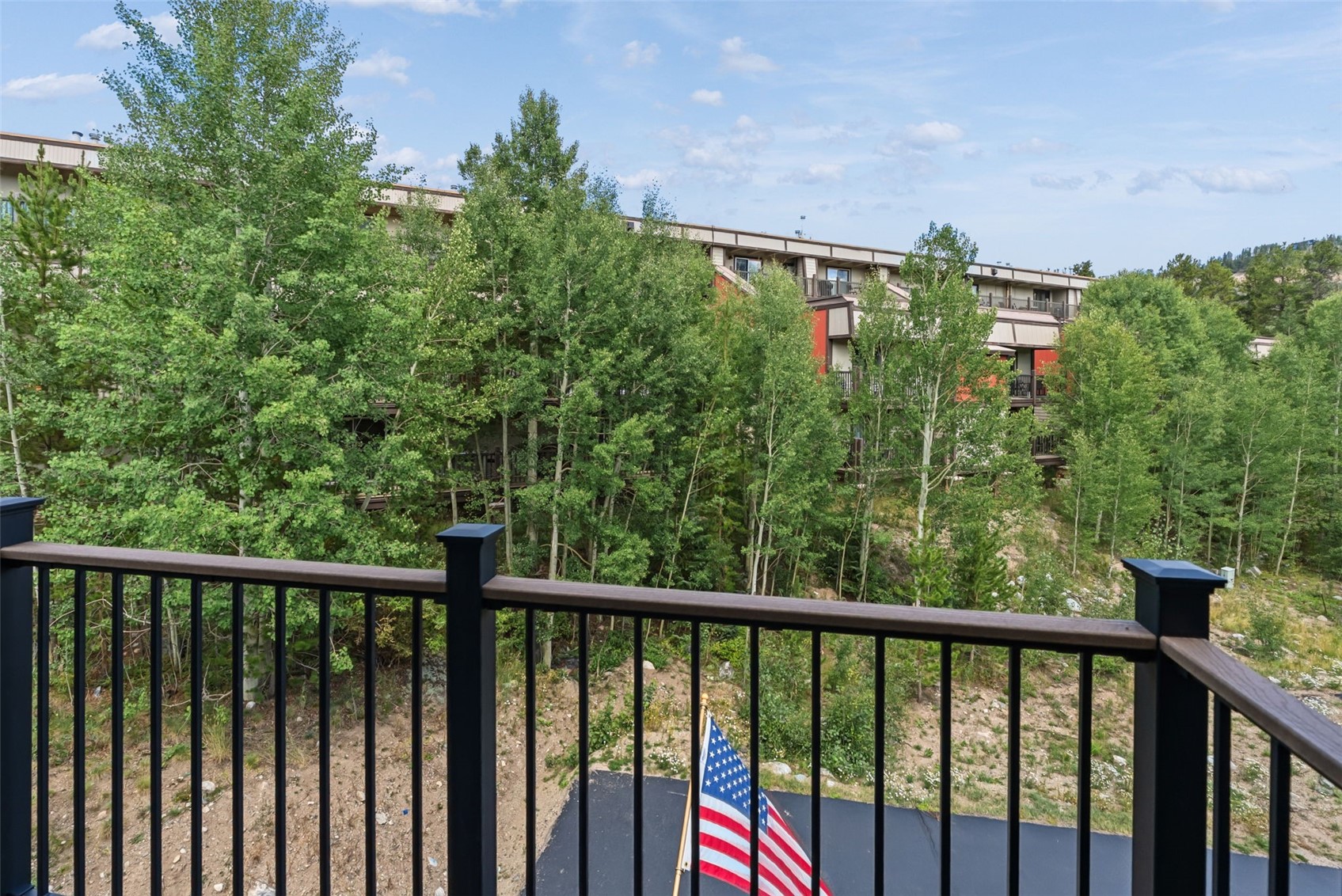65 River Park Drive Breckenridge CO 80424