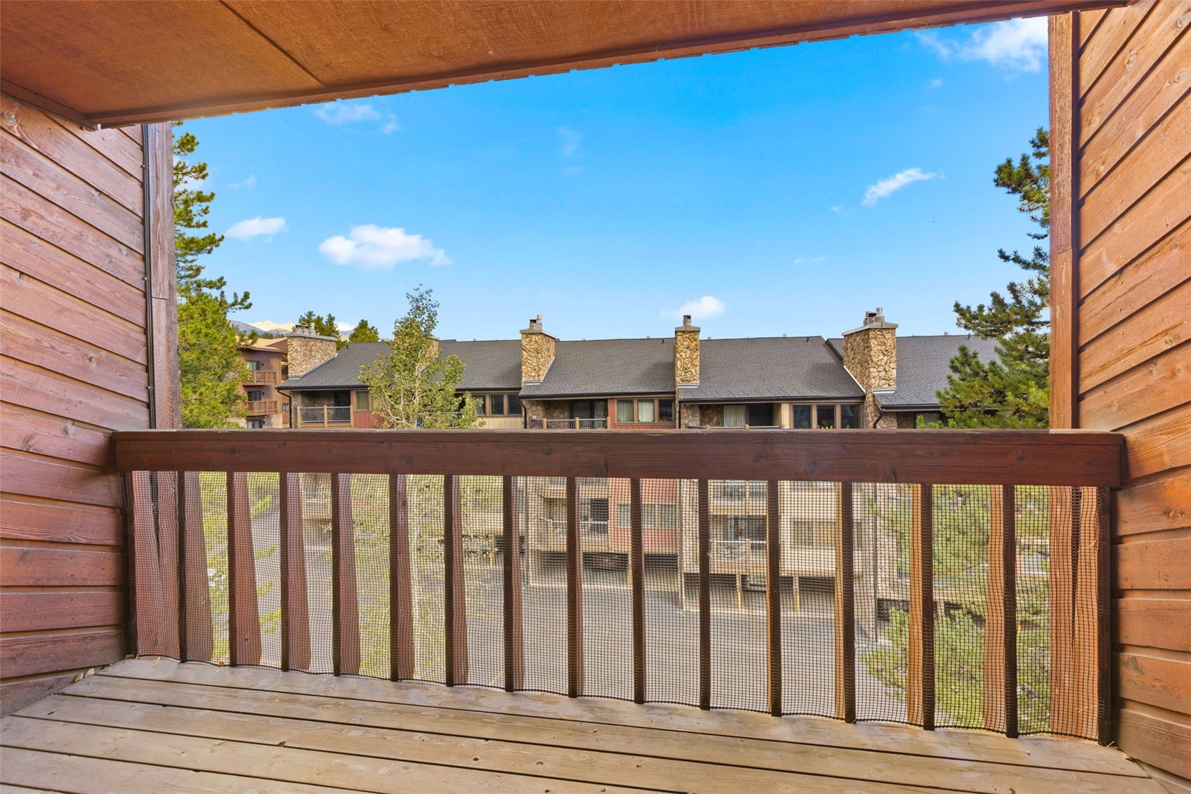 305 S Park Avenue Breckenridge CO 80424
