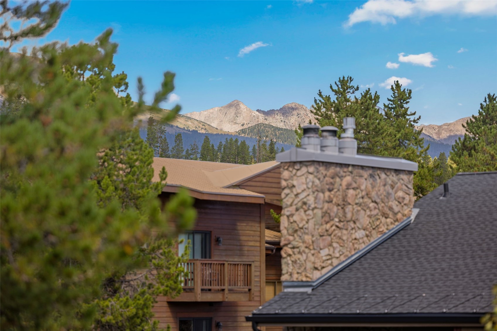 305 S Park Avenue Breckenridge CO 80424