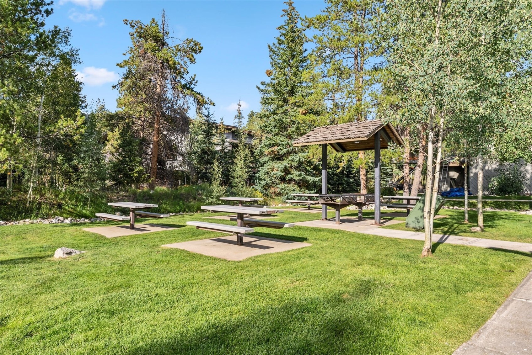 1937 Soda Ridge Road Dillon CO 80435