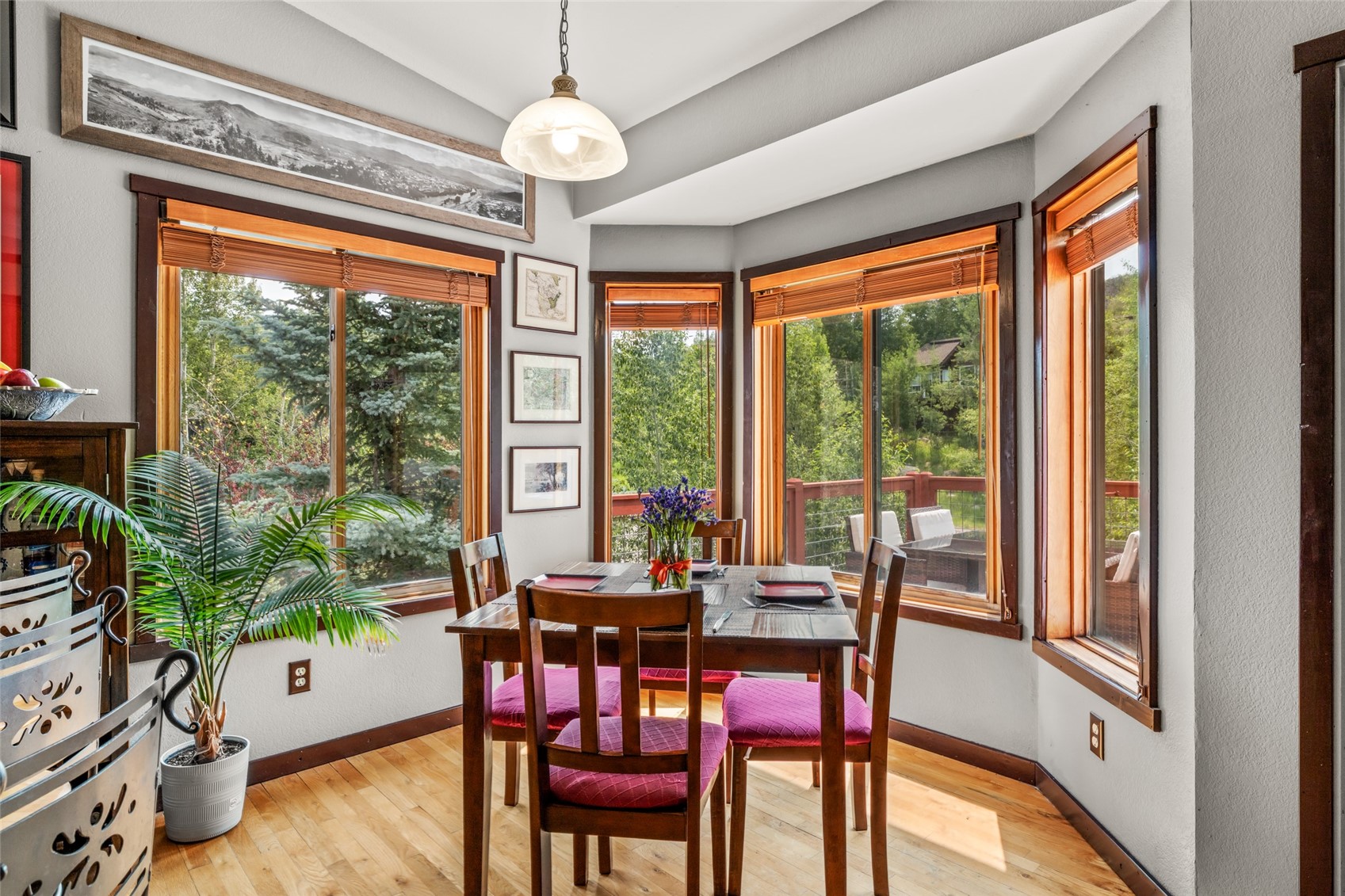 305 Primrose Lane Steamboat Springs CO 80487