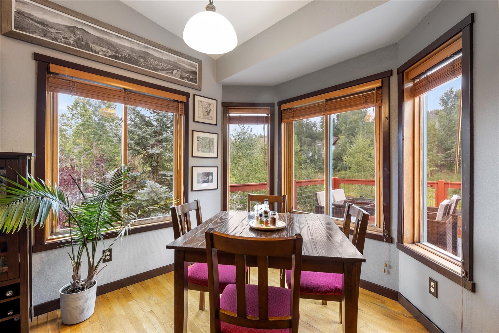 305 Primrose Lane Steamboat Springs CO 80487