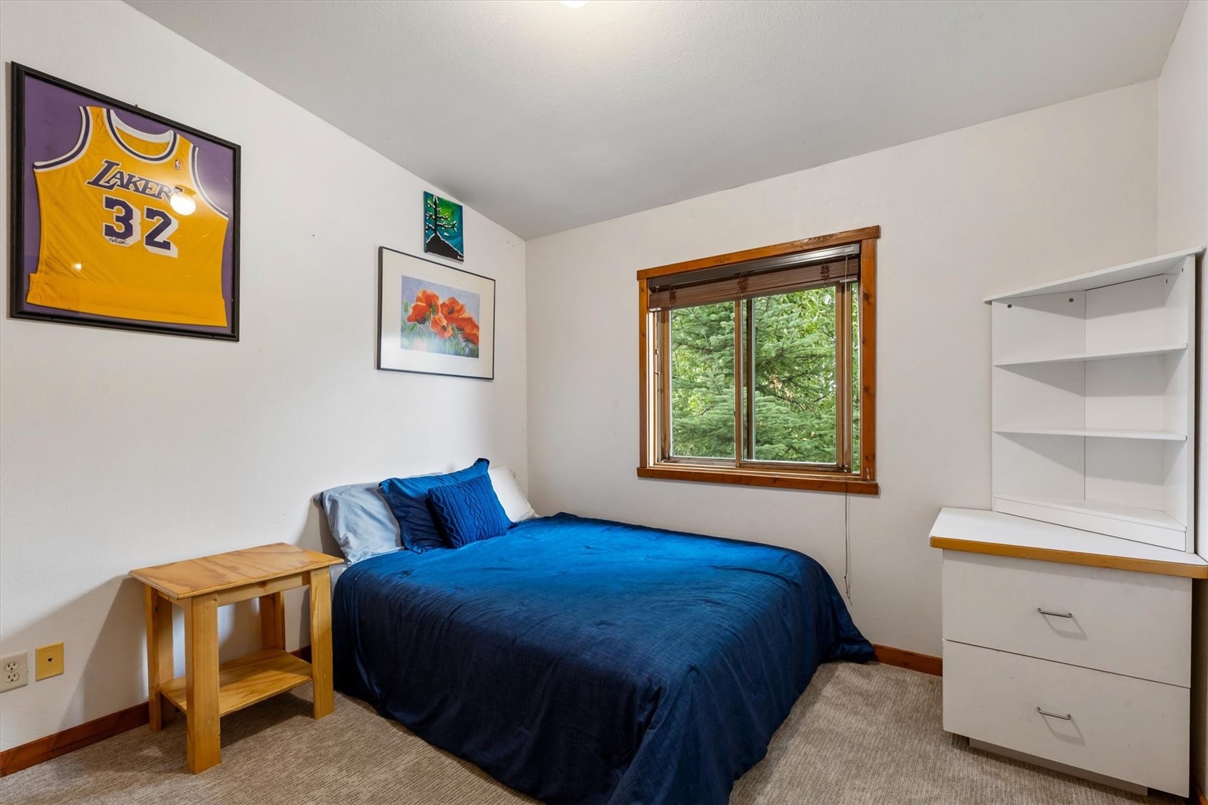 305 Primrose Lane Steamboat Springs CO 80487