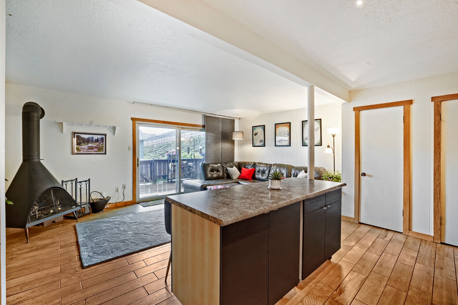 1263 Straight Creek Drive Dillon CO 80435