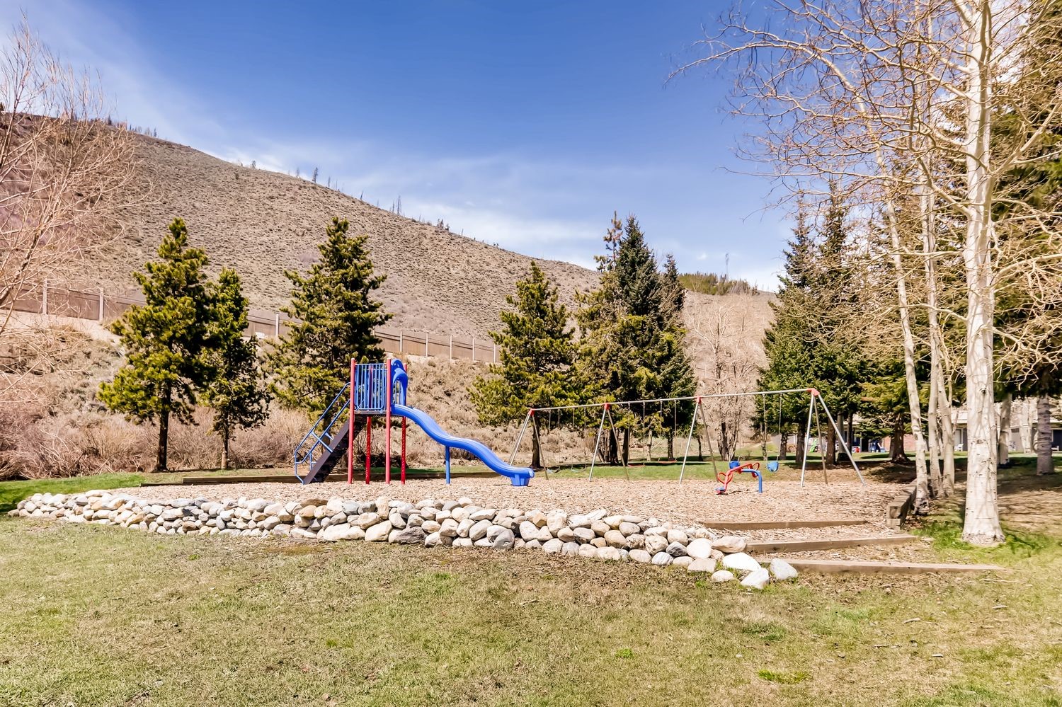 1263 Straight Creek Drive Dillon CO 80435
