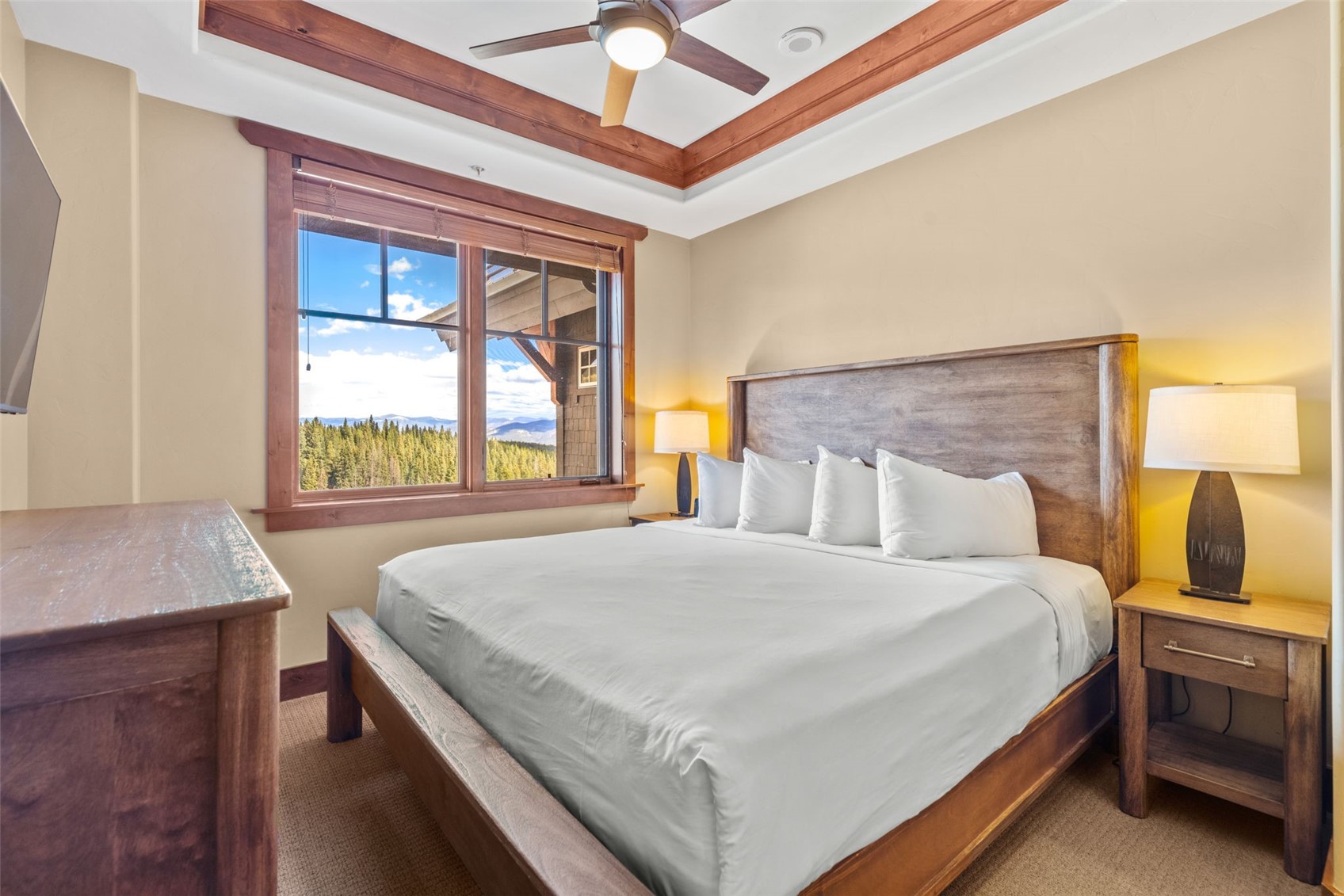 1521 Ski Hill Road Breckenridge CO 80424