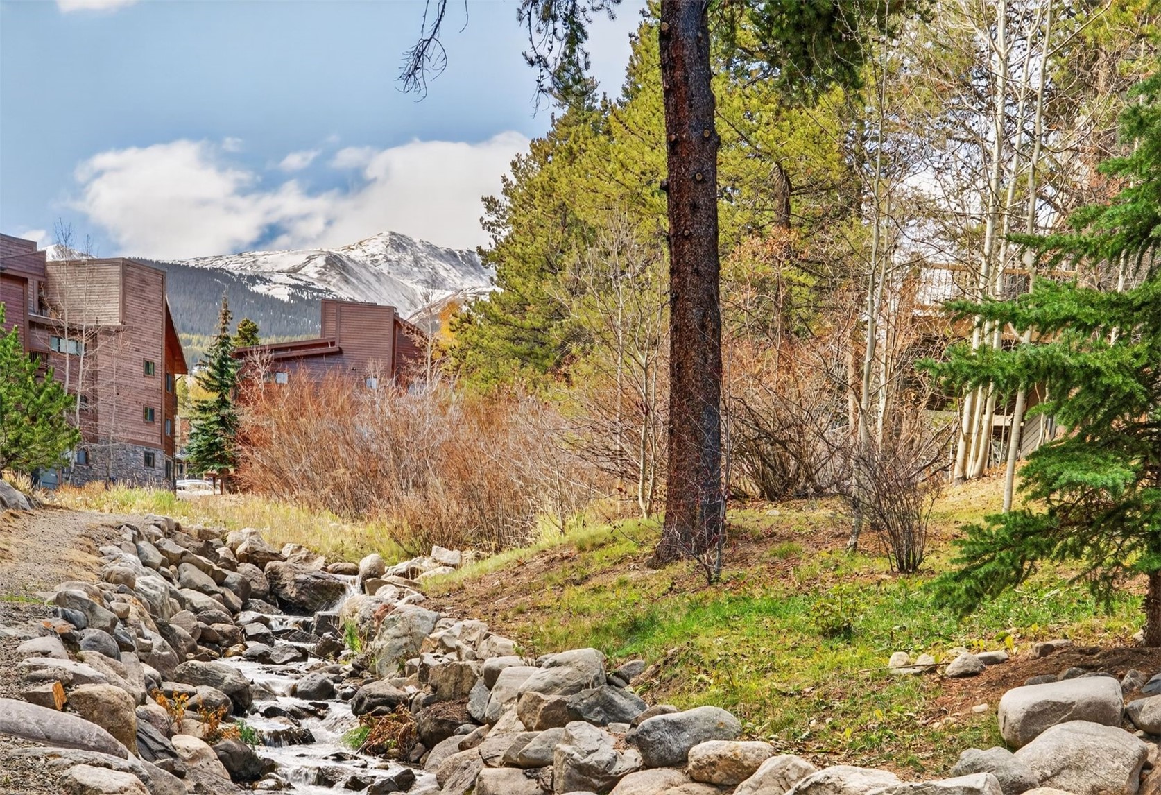 105 S Park Avenue Breckenridge CO 80424