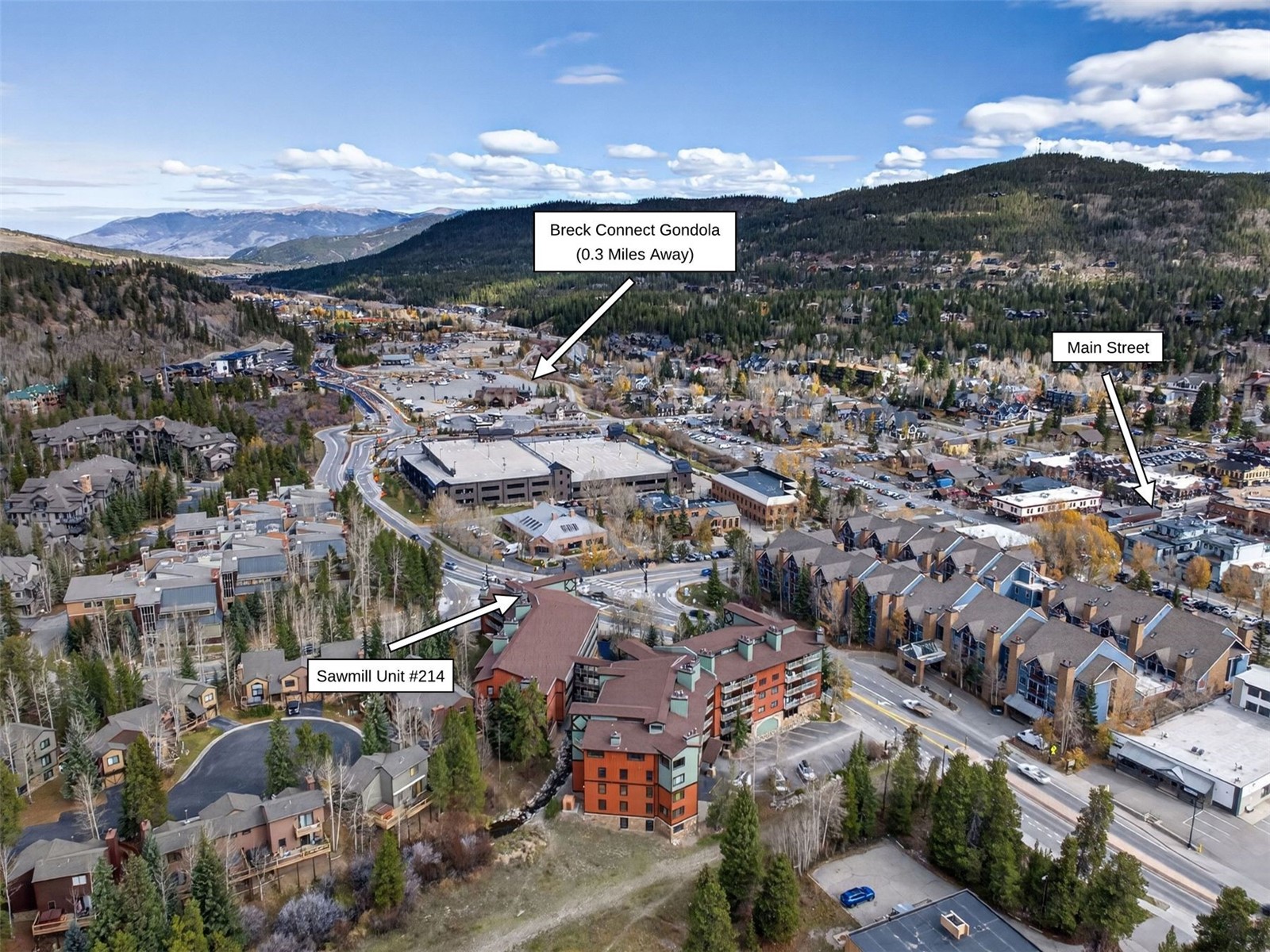 105 S Park Avenue Breckenridge CO 80424