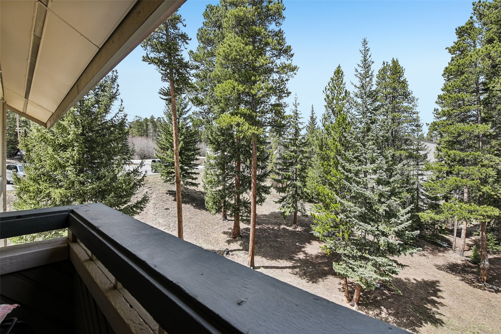 1001 Grandview Drive Breckenridge CO 80424