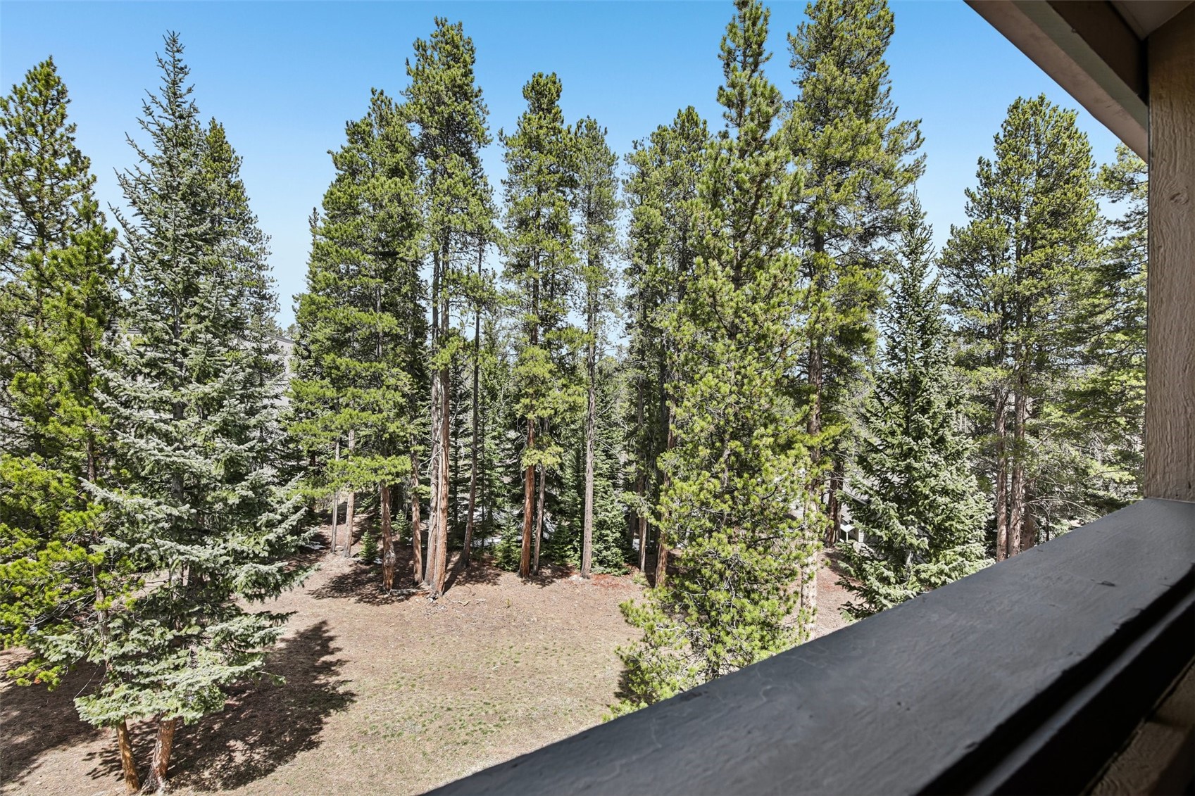 1001 Grandview Drive Breckenridge CO 80424