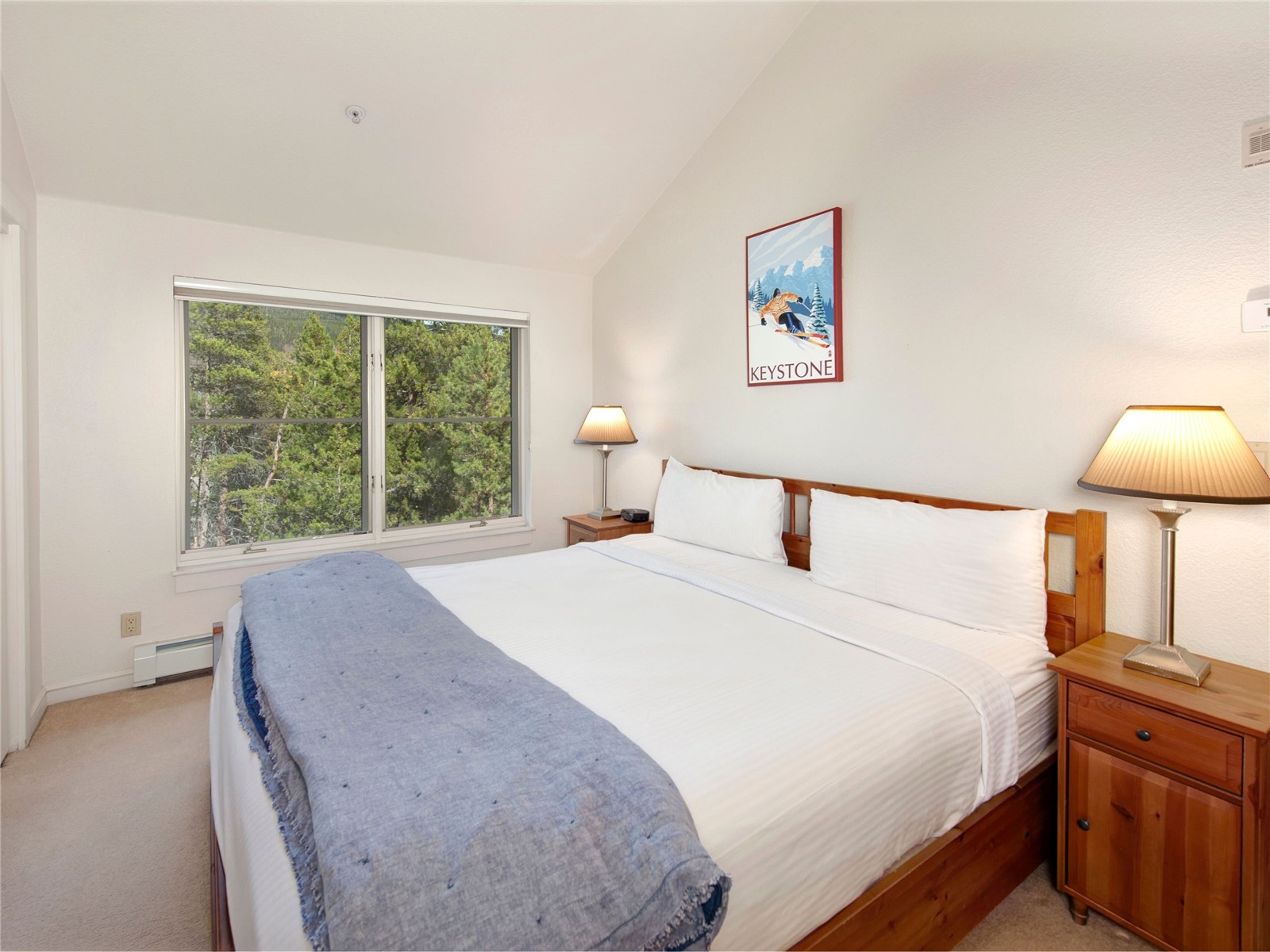 57 Lake Ridge Circle Keystone CO 80435