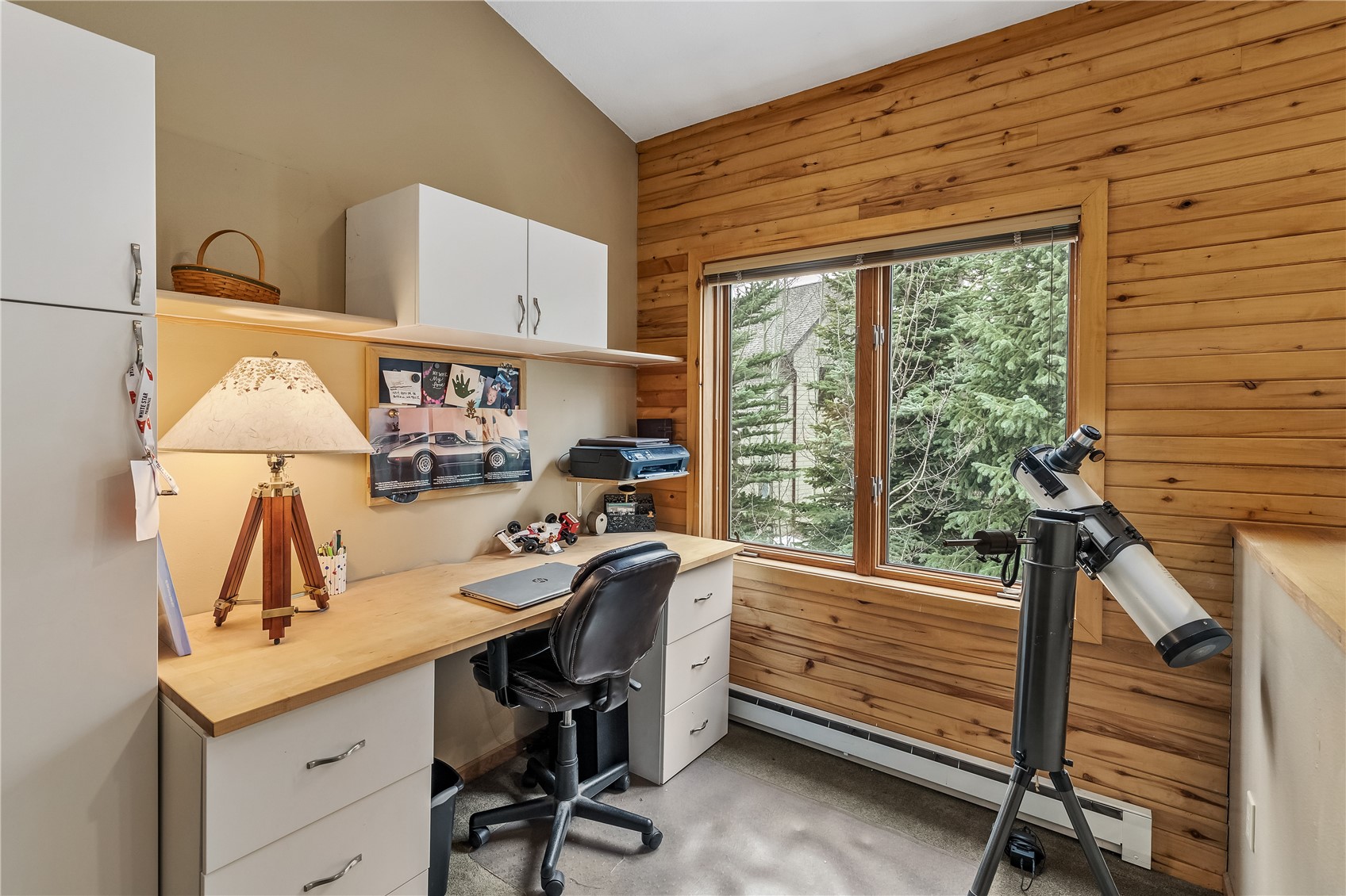 53 Burgundy Circle Silverthorne CO 80498